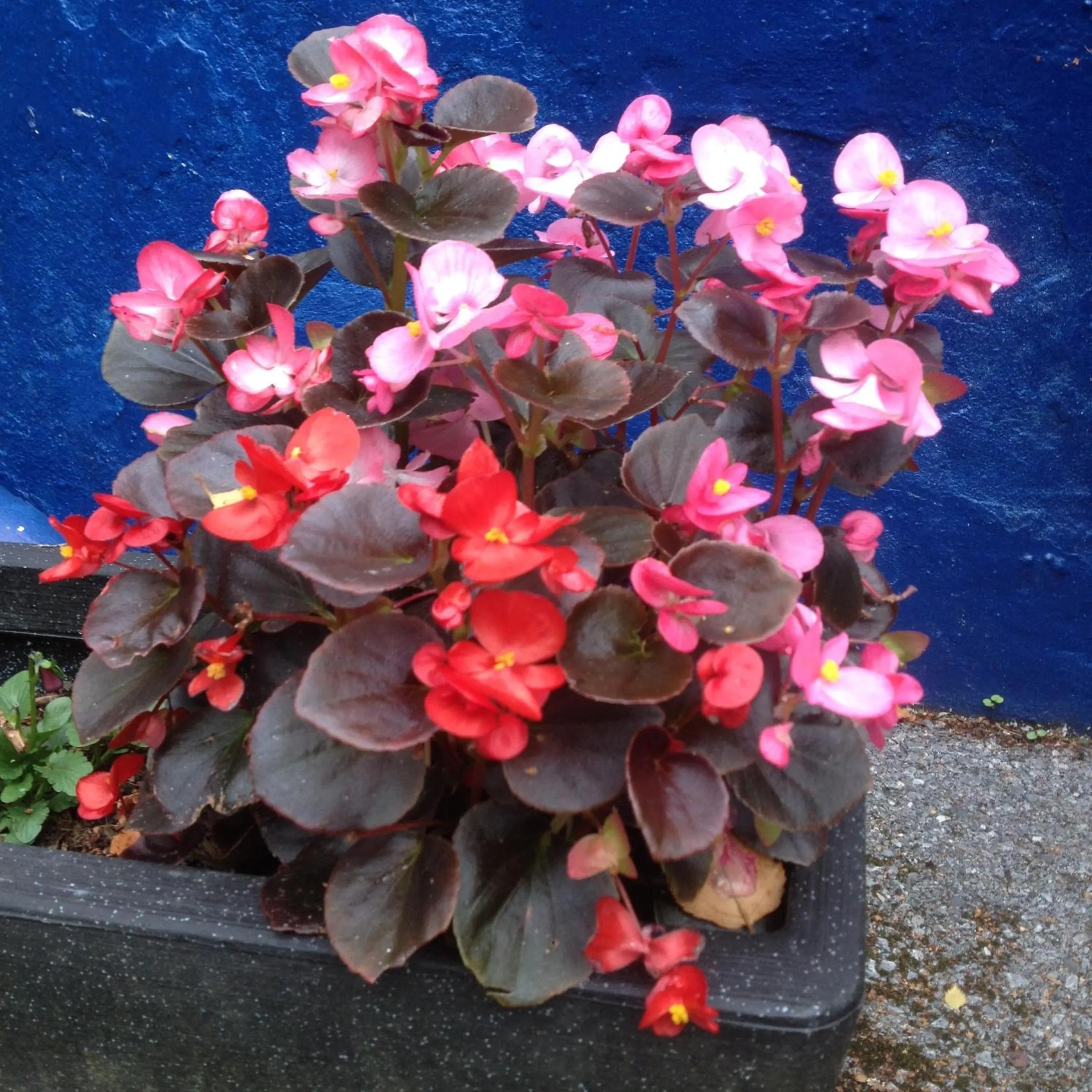 Property building in The Brandize Guest House