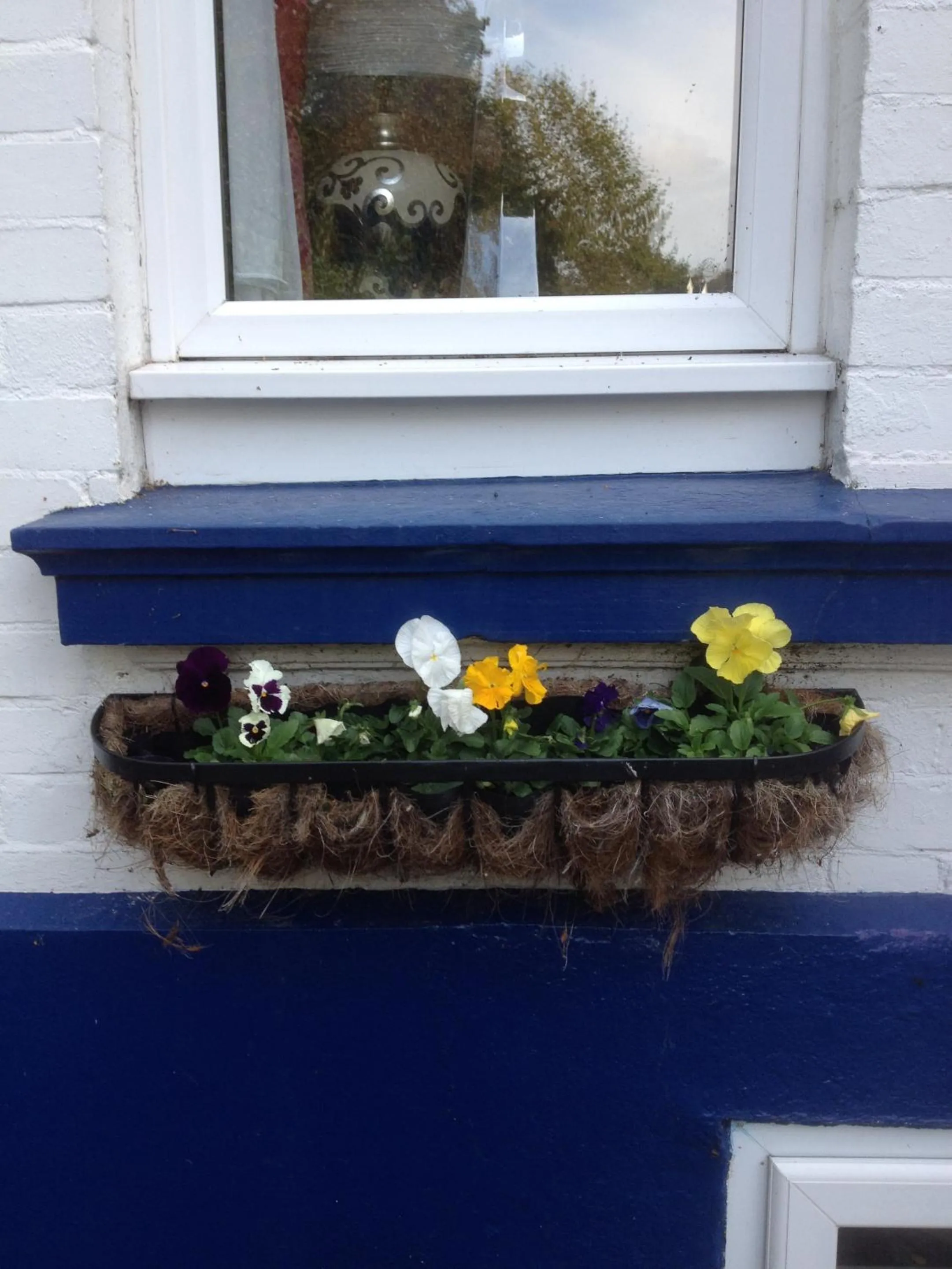 Property building in The Brandize Guest House