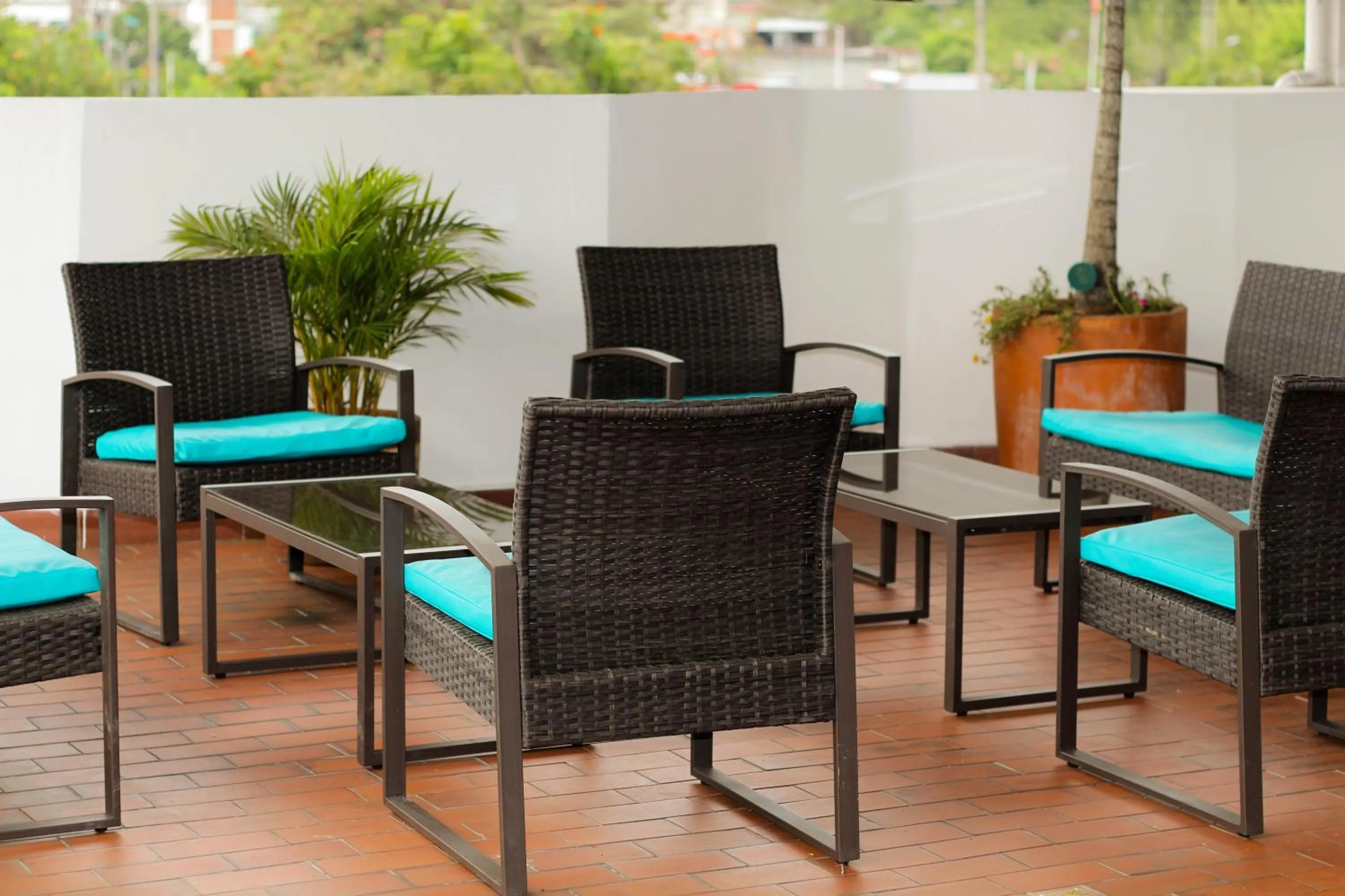 Garden in Hotel Brisas De Calima