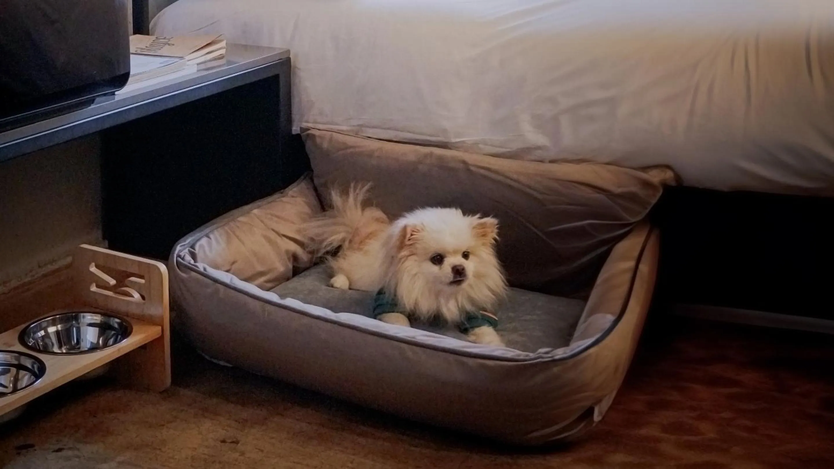 Photo of the whole room in Playce Camp Jeju