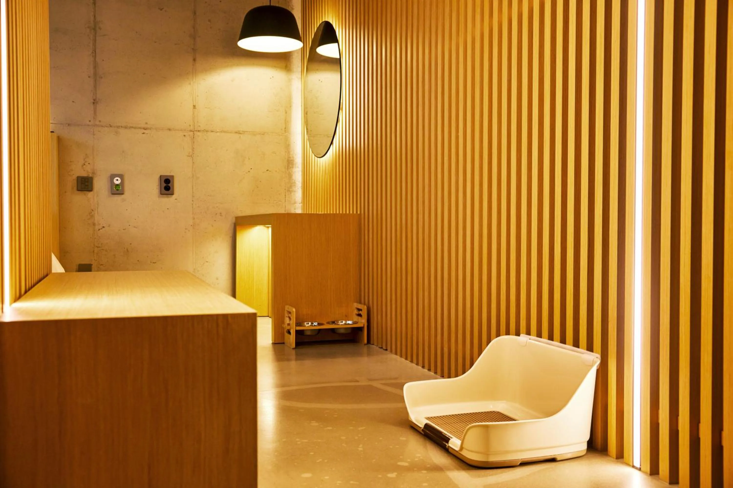 Photo of the whole room in Playce Camp Jeju