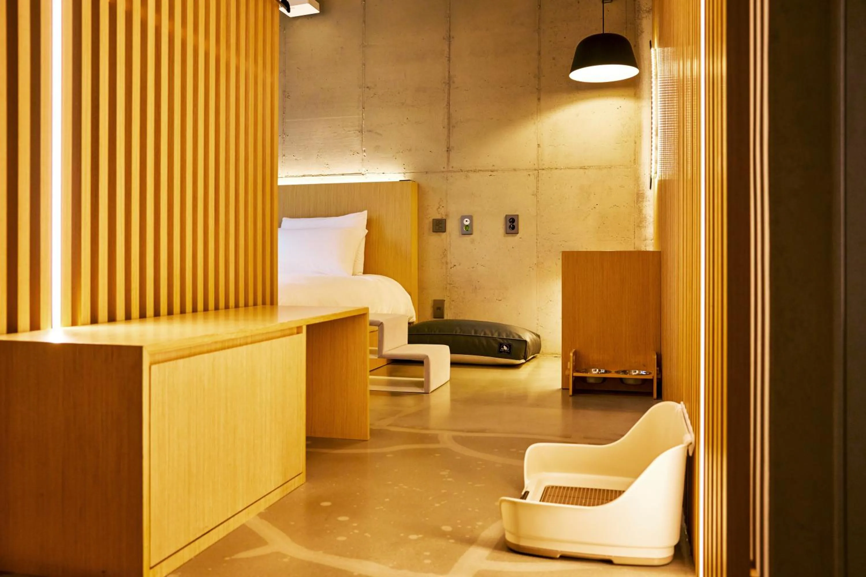 Photo of the whole room in Playce Camp Jeju