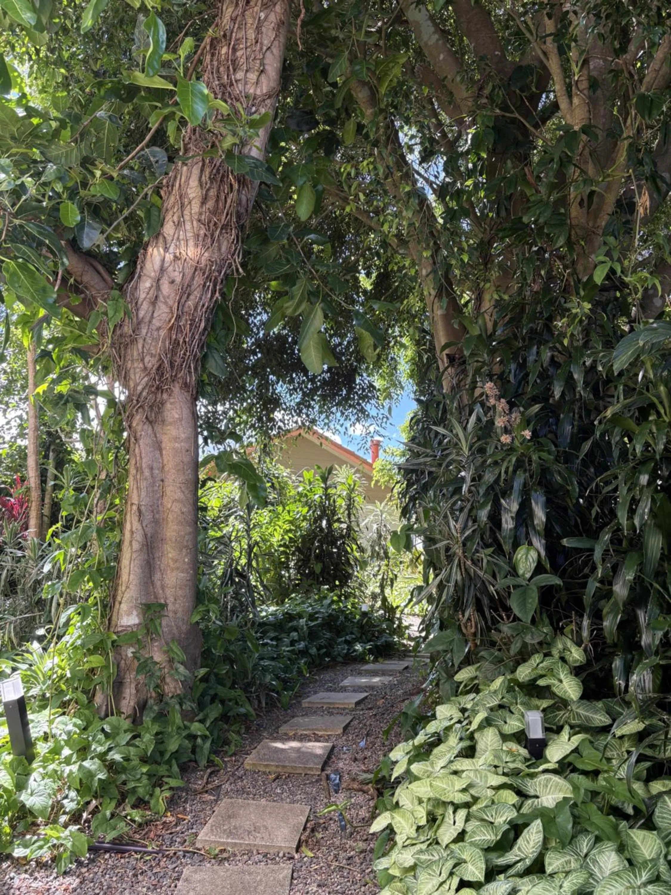 Maleny Terrace Cottages