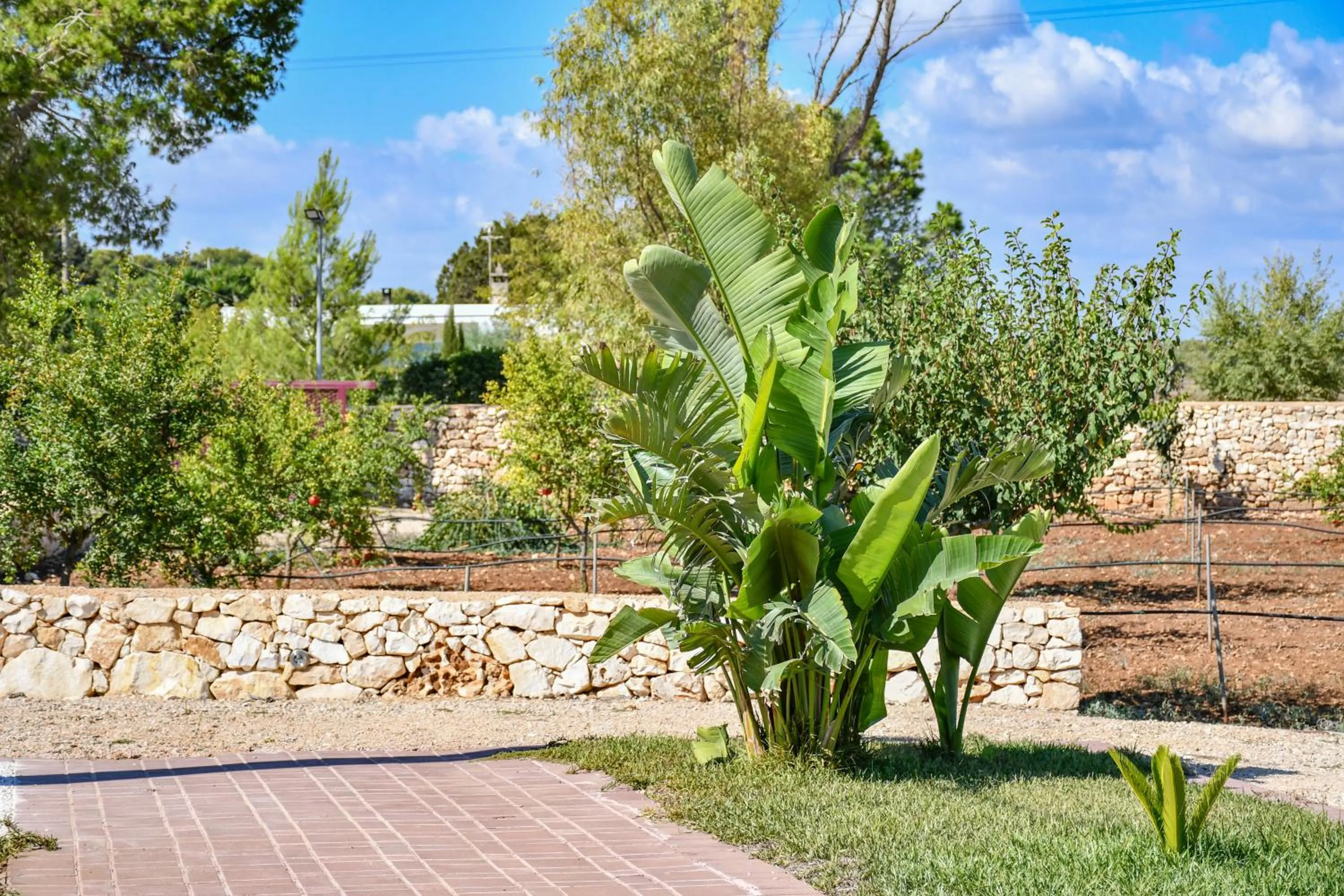 Calasole Country House