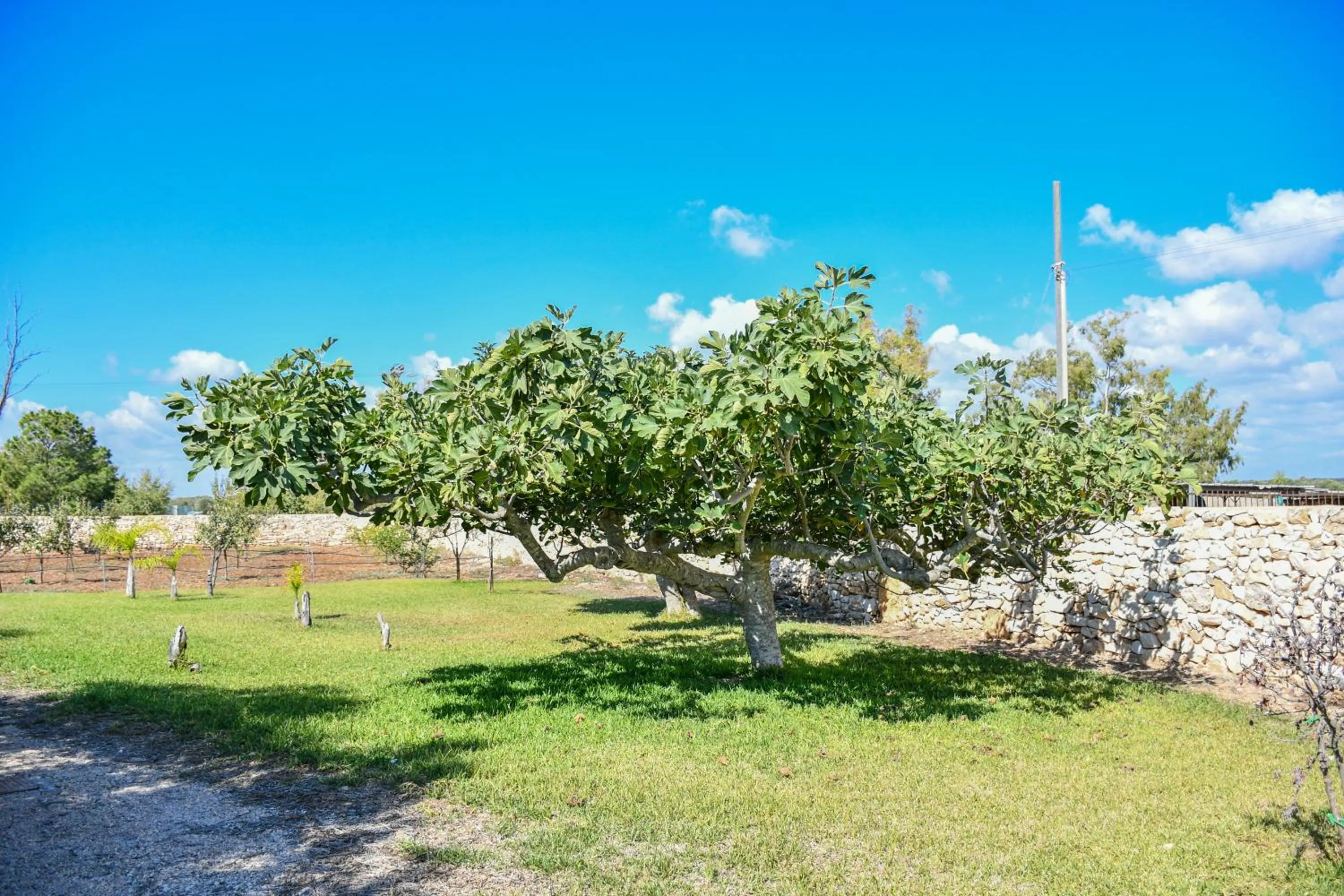 Calasole Country House