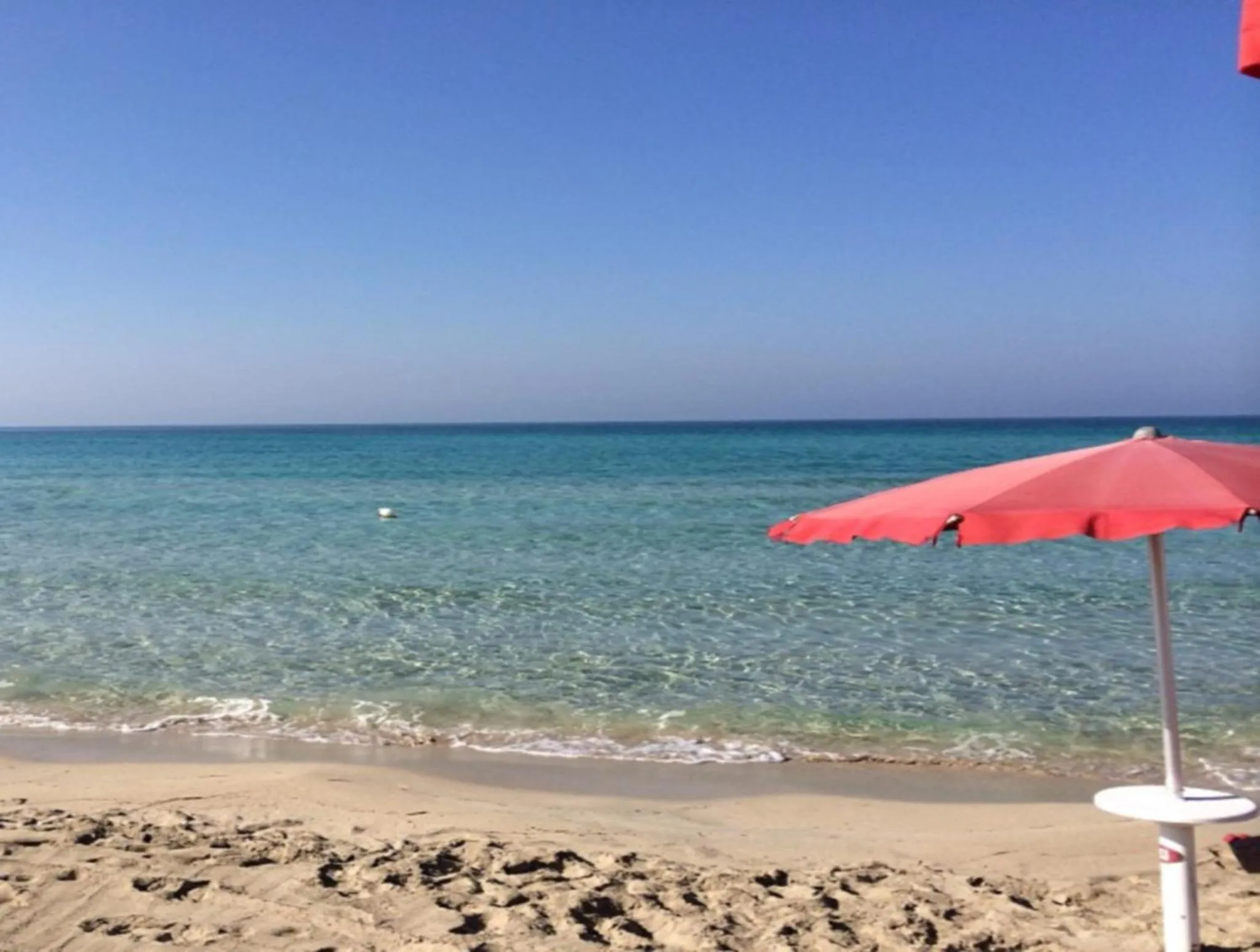 Activities in Borgoincorte