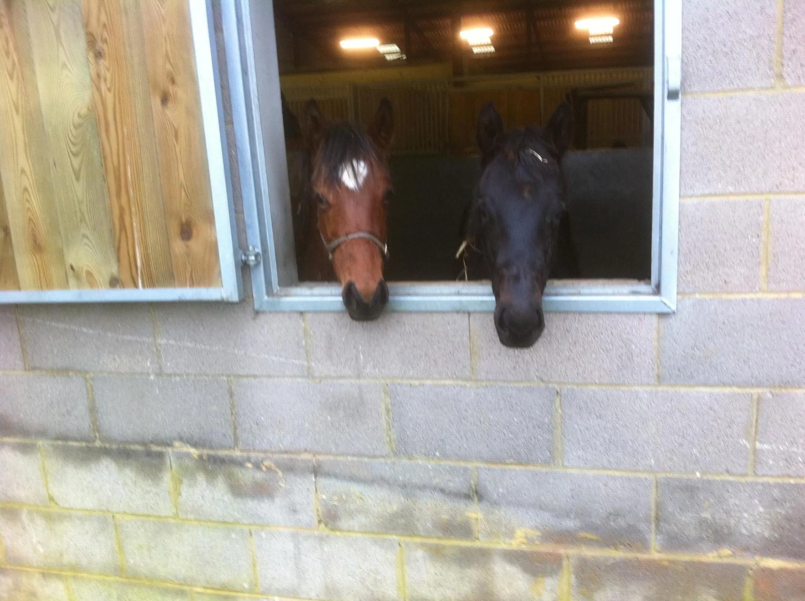 Withyslade Farm