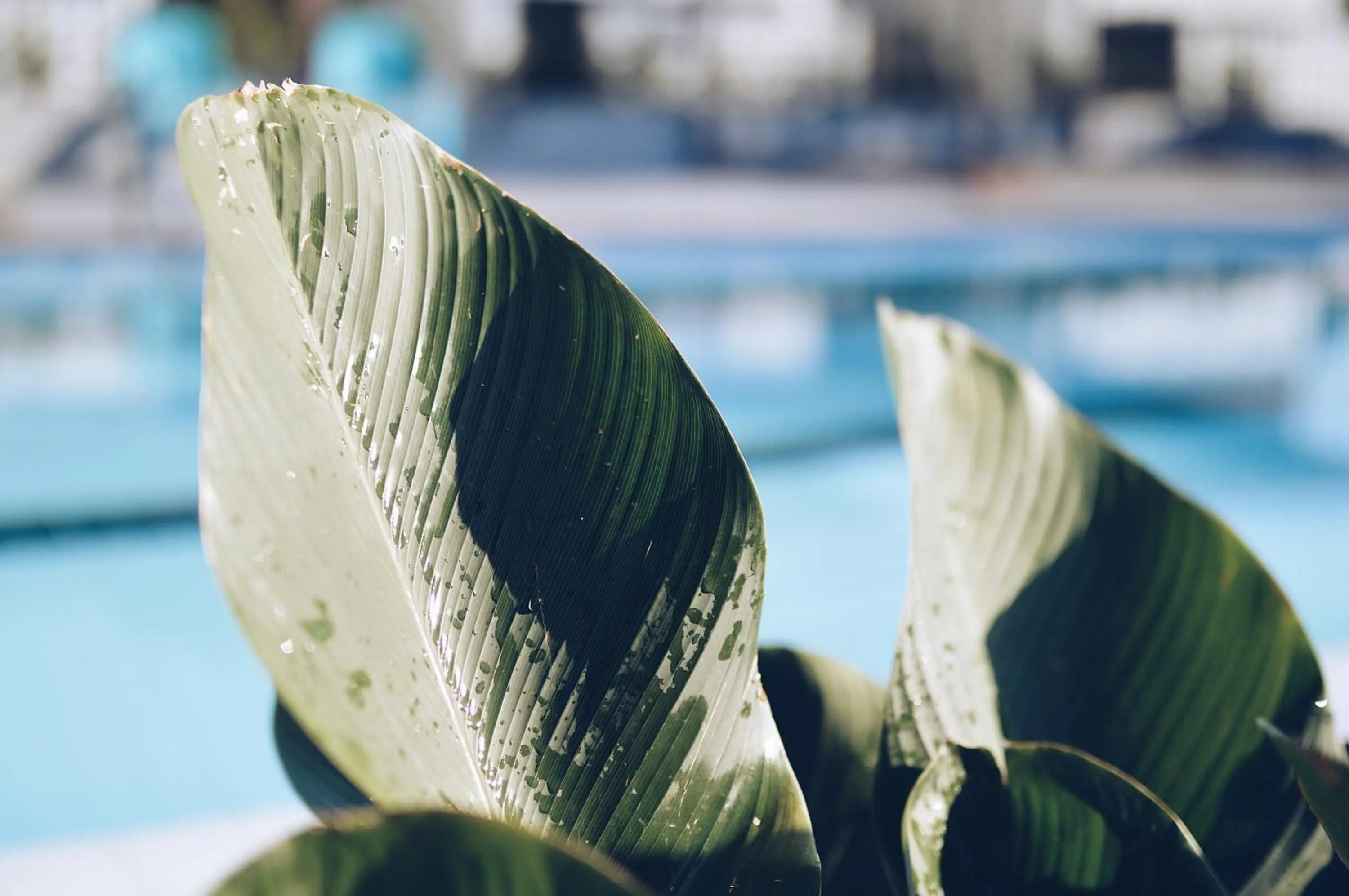 Wannachart Boutique Resort