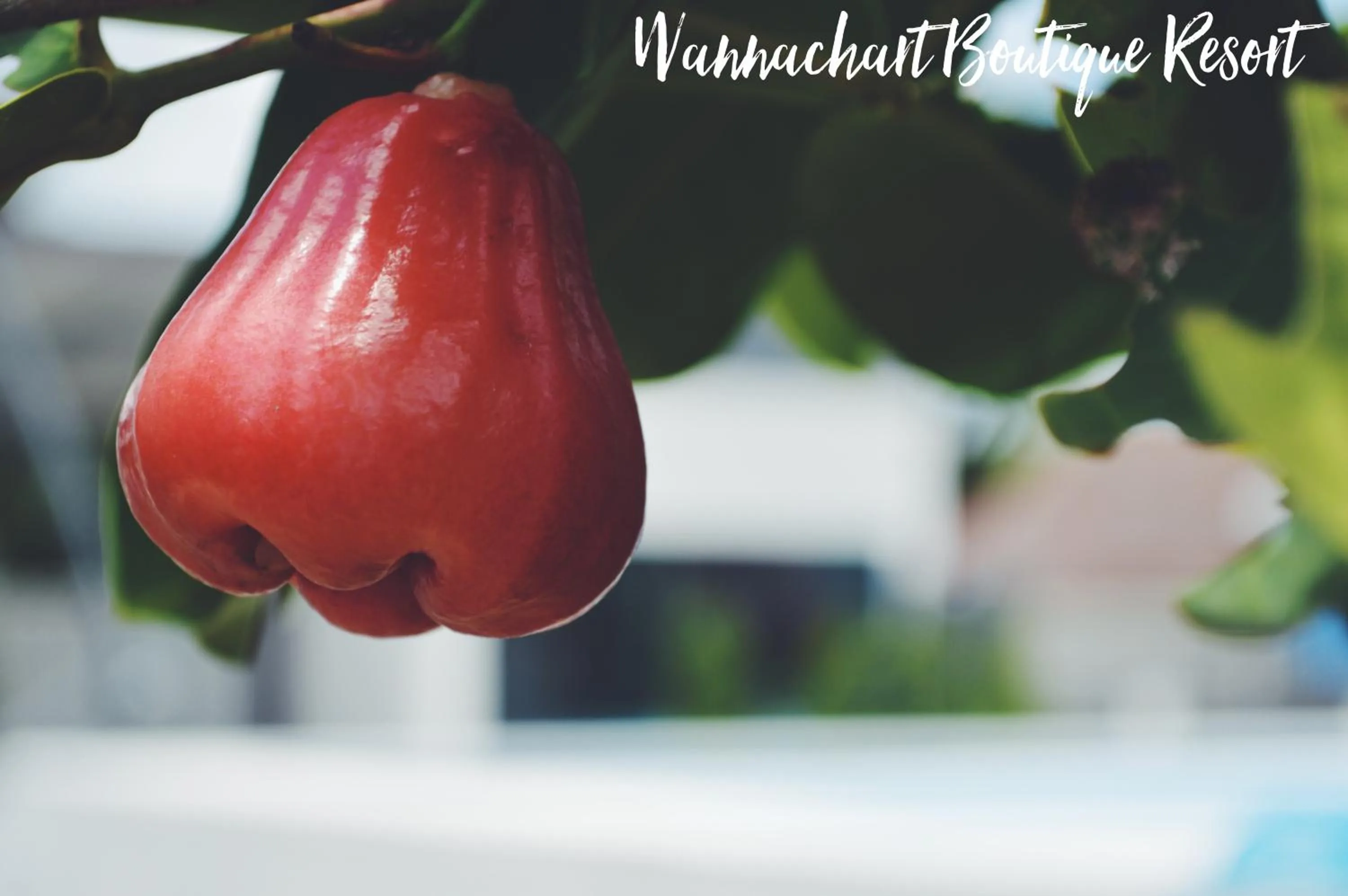 Wannachart Boutique Resort