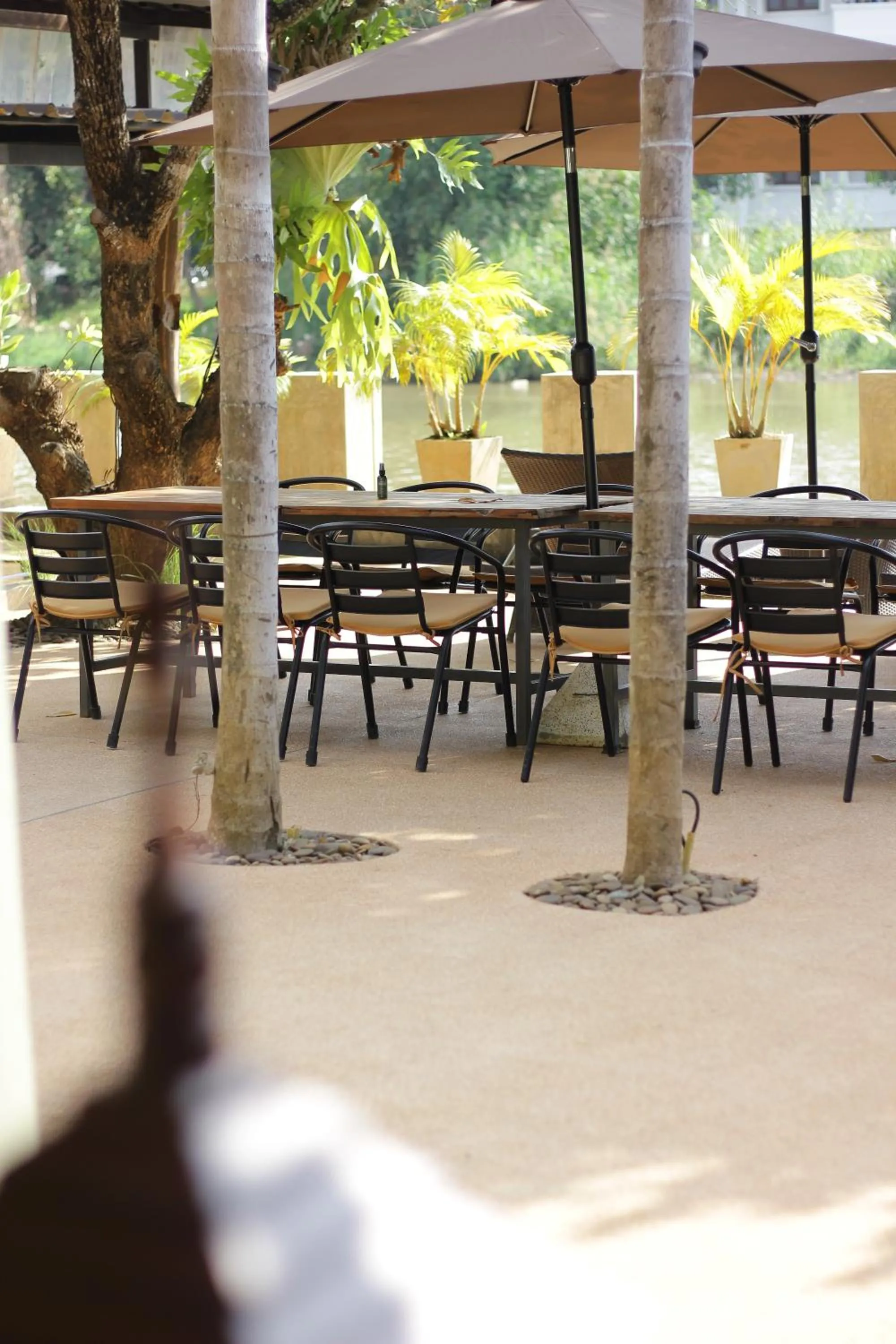 Restaurant/places to eat in Tolani Riverside Villa
