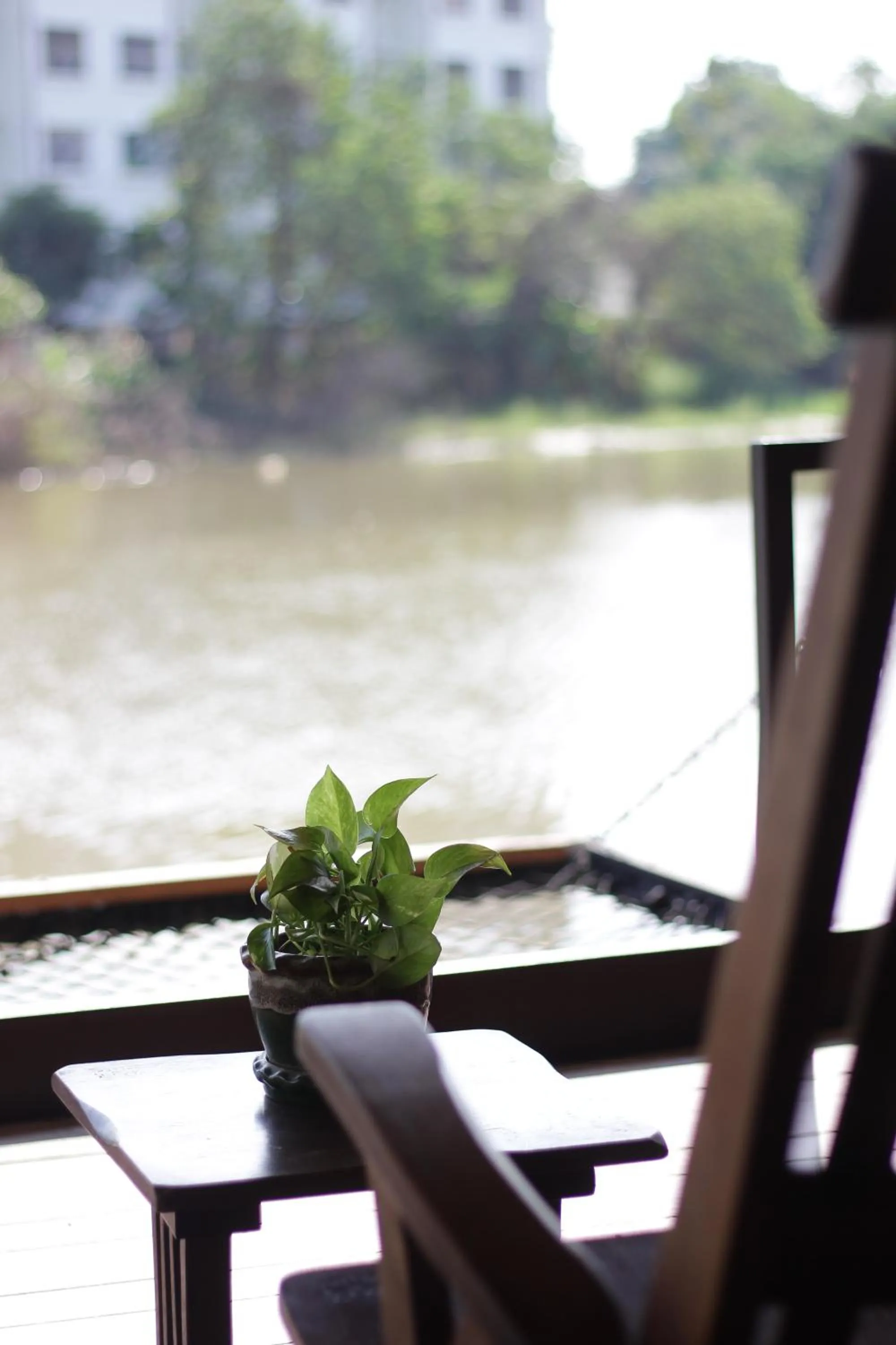 Natural landscape in Tolani Riverside Villa