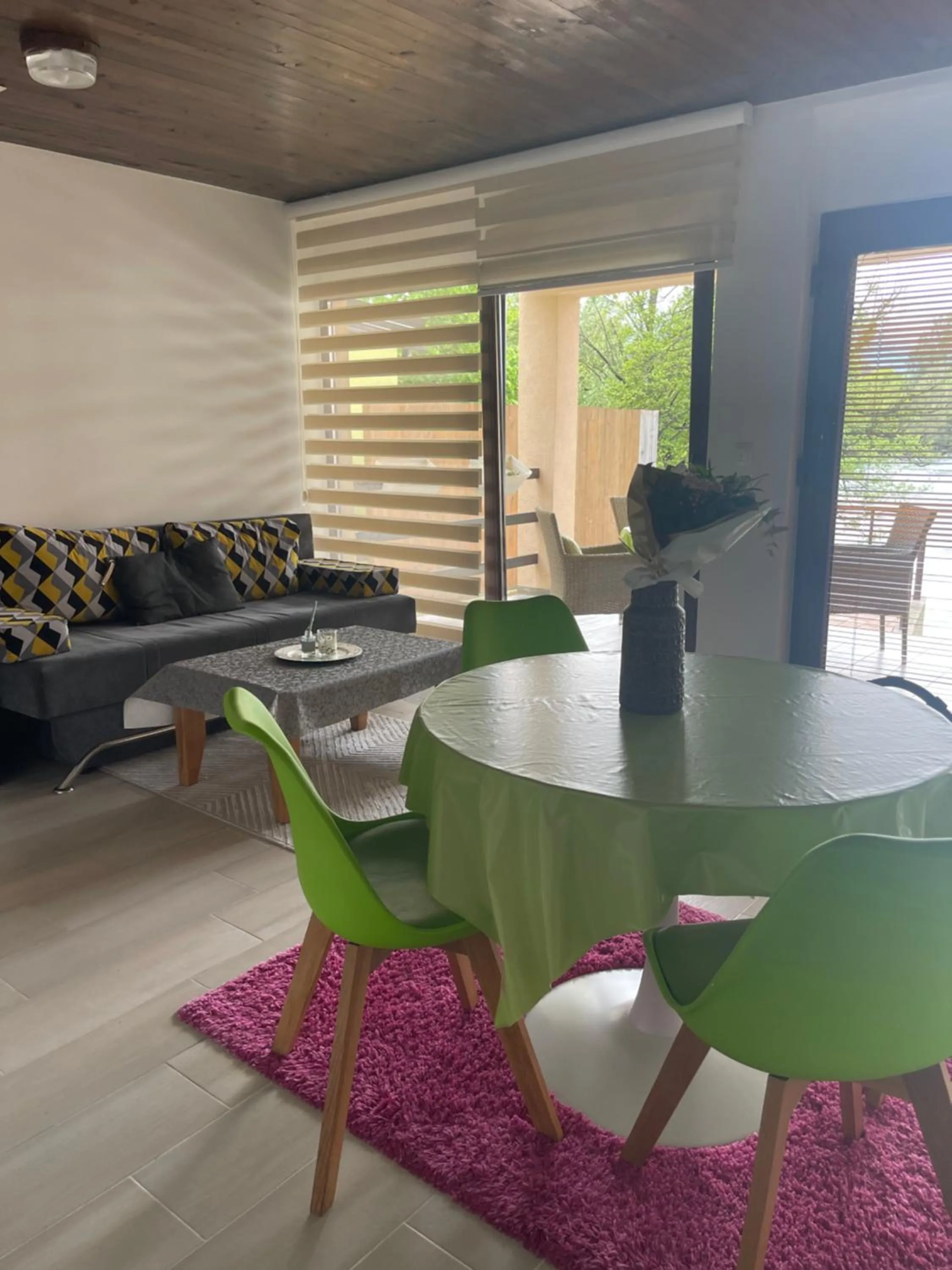 Living room in Apartment Vila Tara