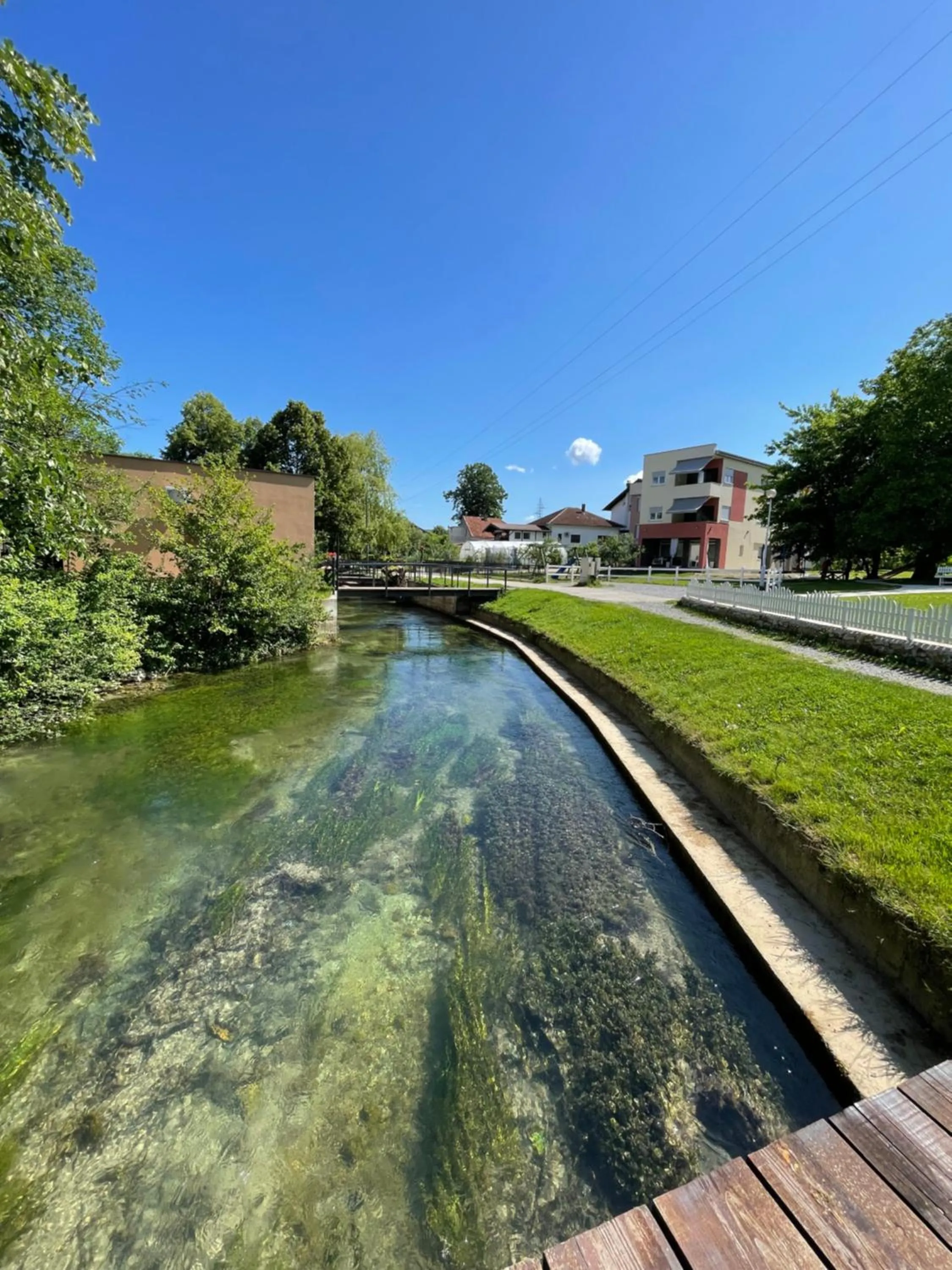 Natural landscape in Apartment Vila Tara