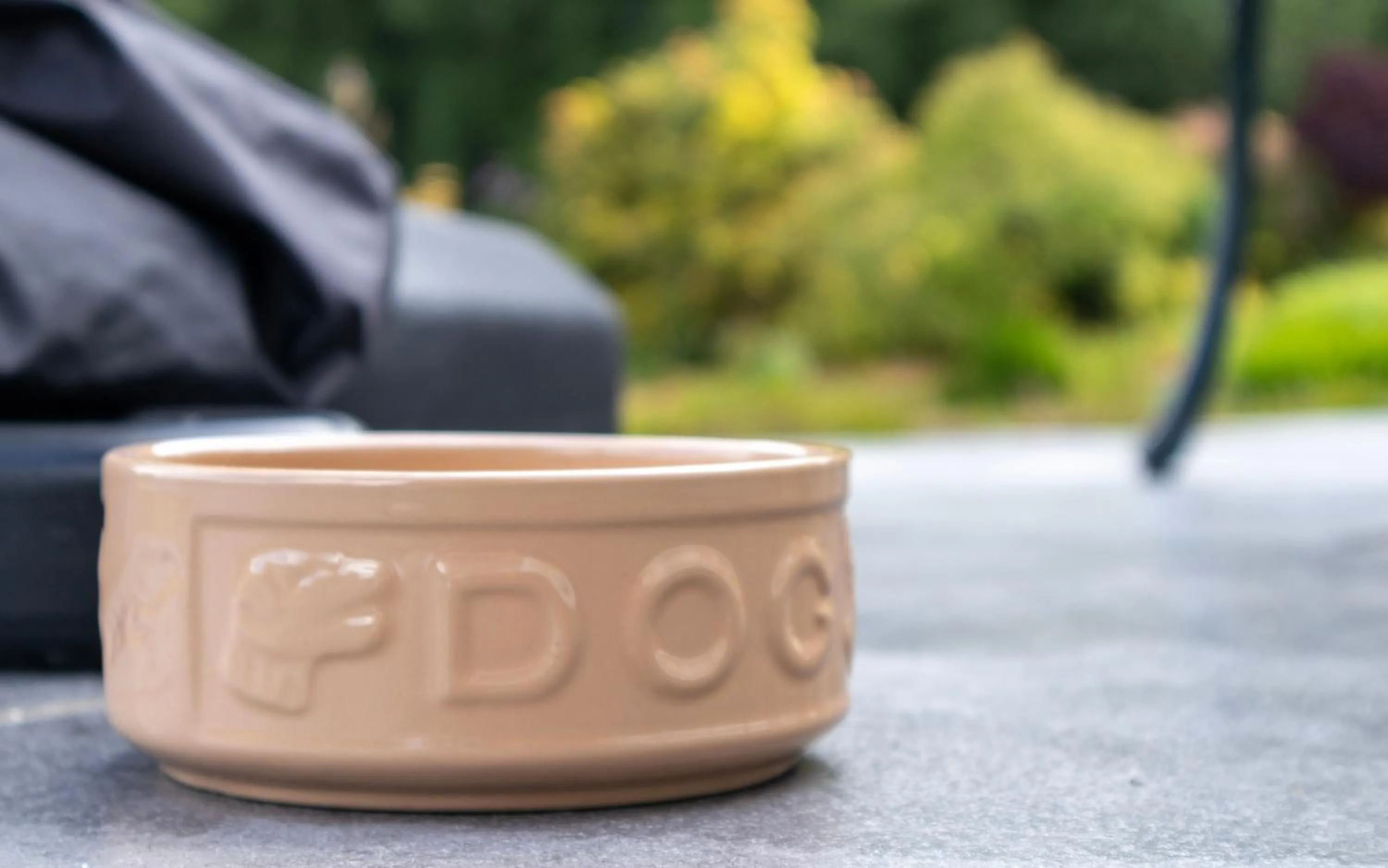 Balcony/Terrace in The Falcondale Country House Hotel