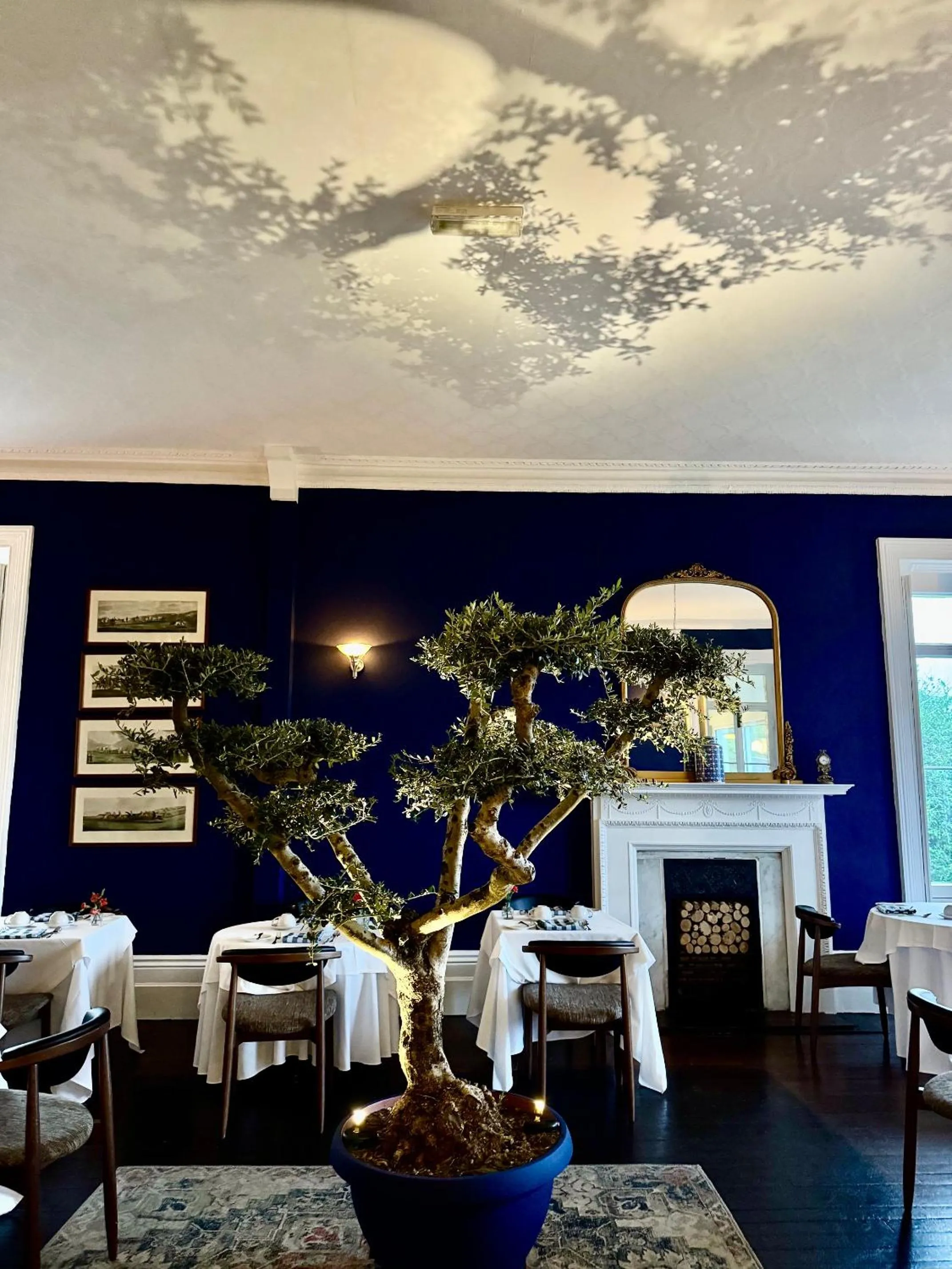 Restaurant/places to eat in The Falcondale Country House Hotel