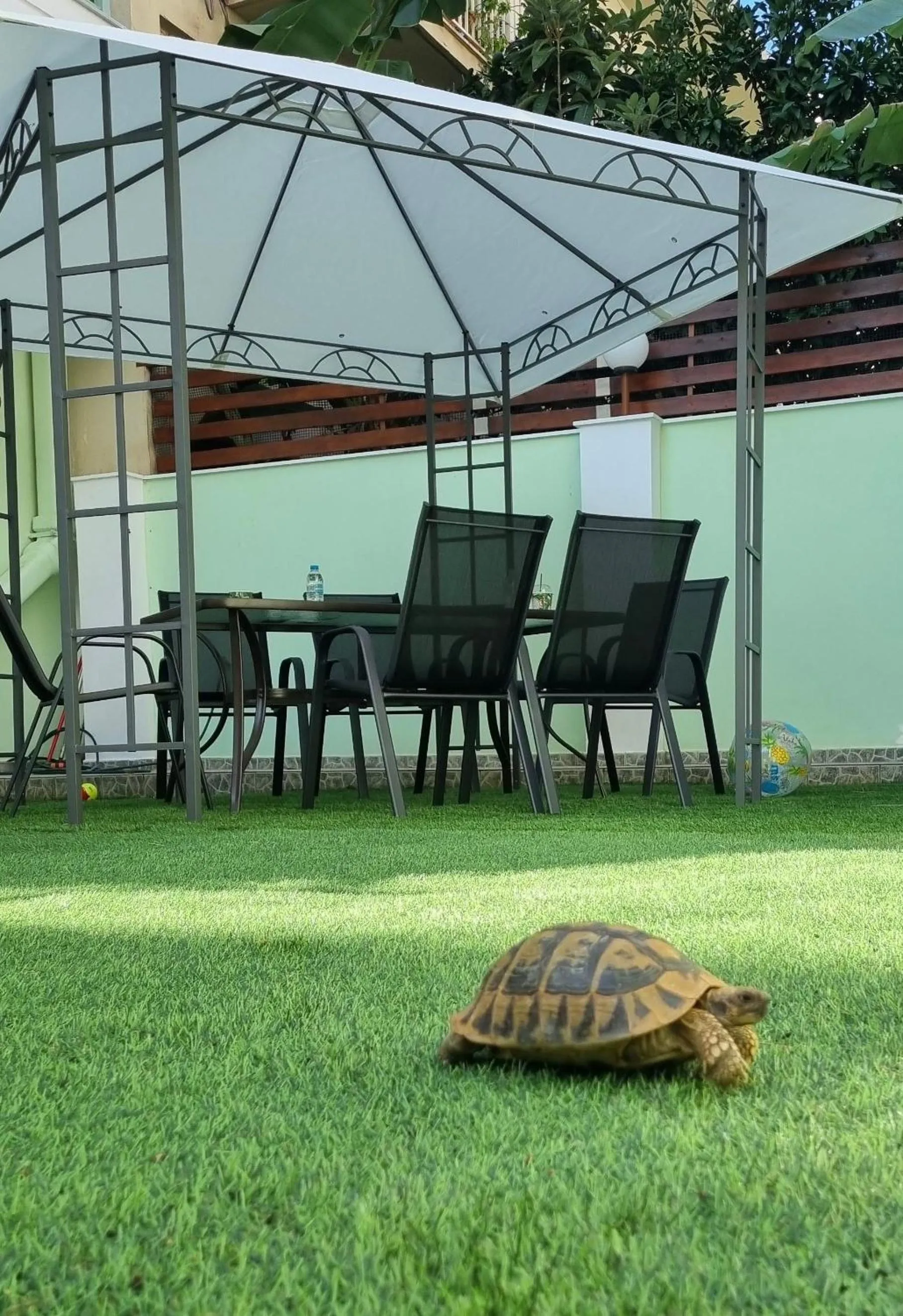 Garden in Hotel Nevada Kalamata