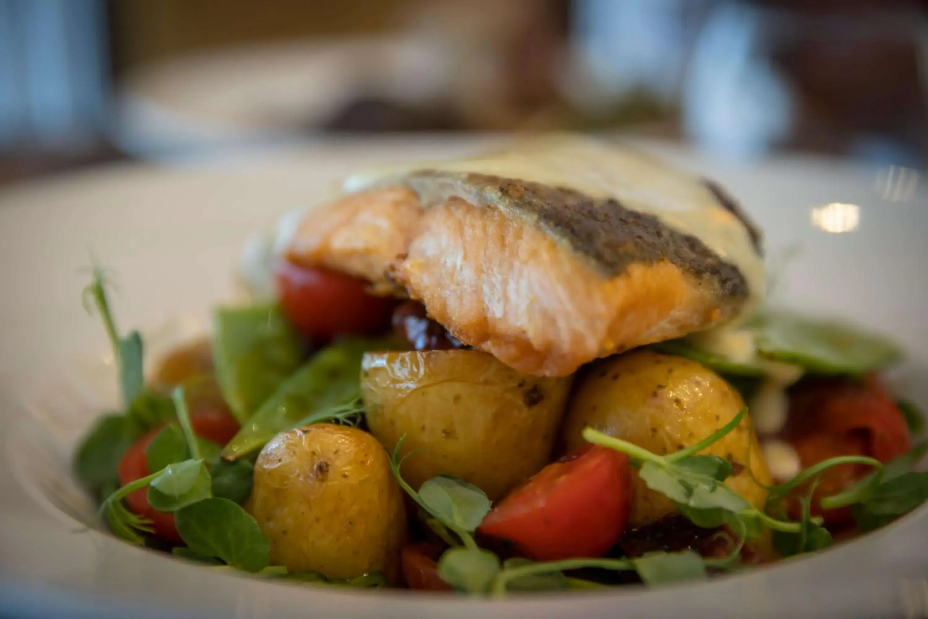 Restaurant/places to eat in Court Yard Hotel Restaurant/places to eat in Court Yard Hotel