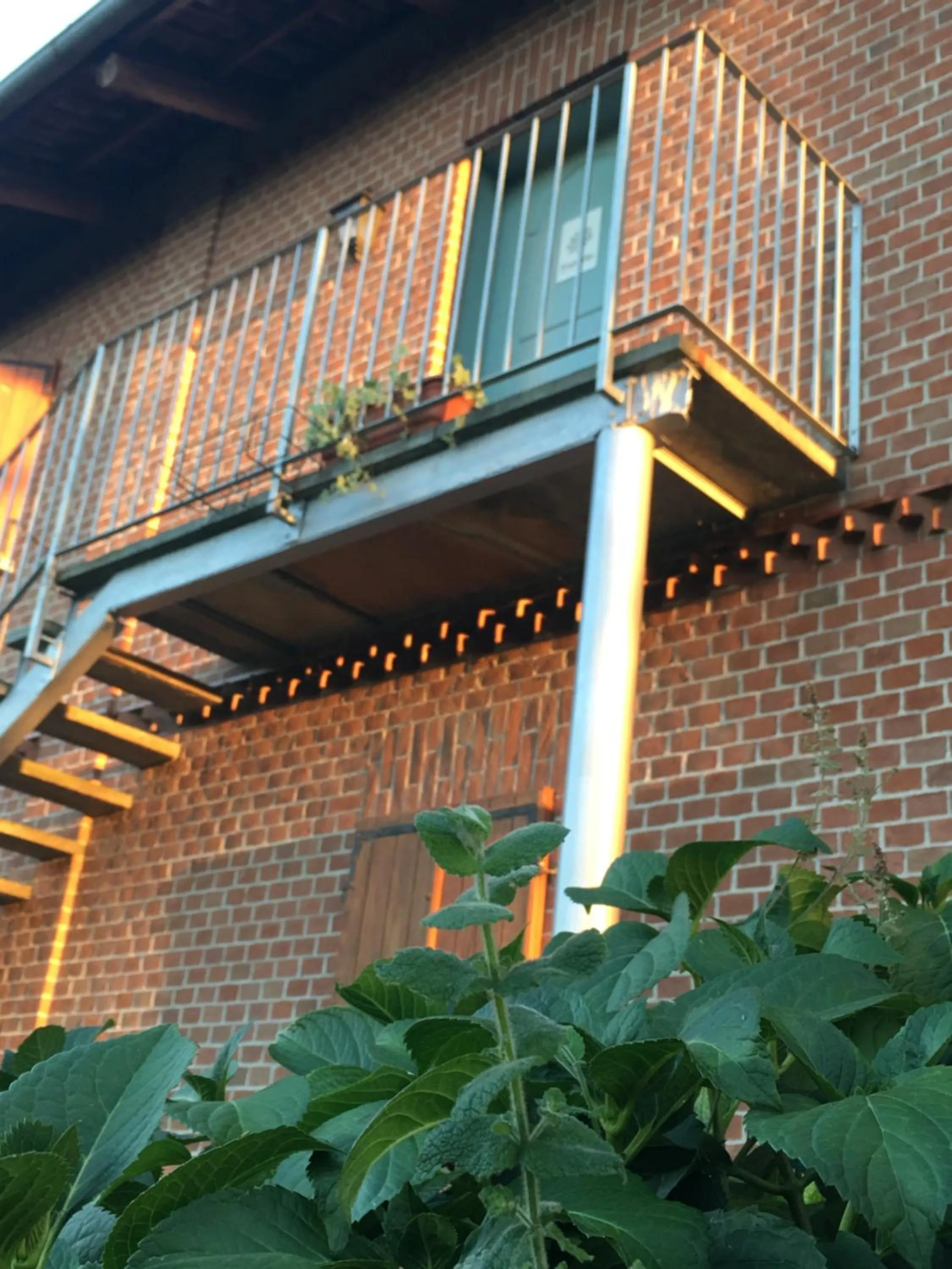 Bed & Breakfast Il mio Gelso