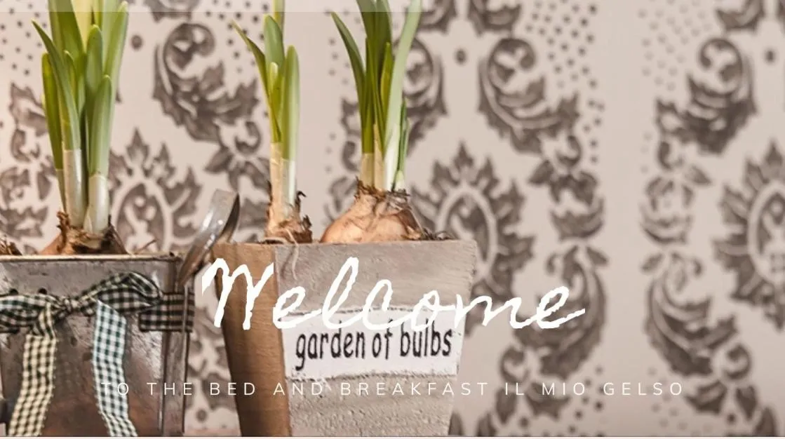 Bed & Breakfast Il mio Gelso