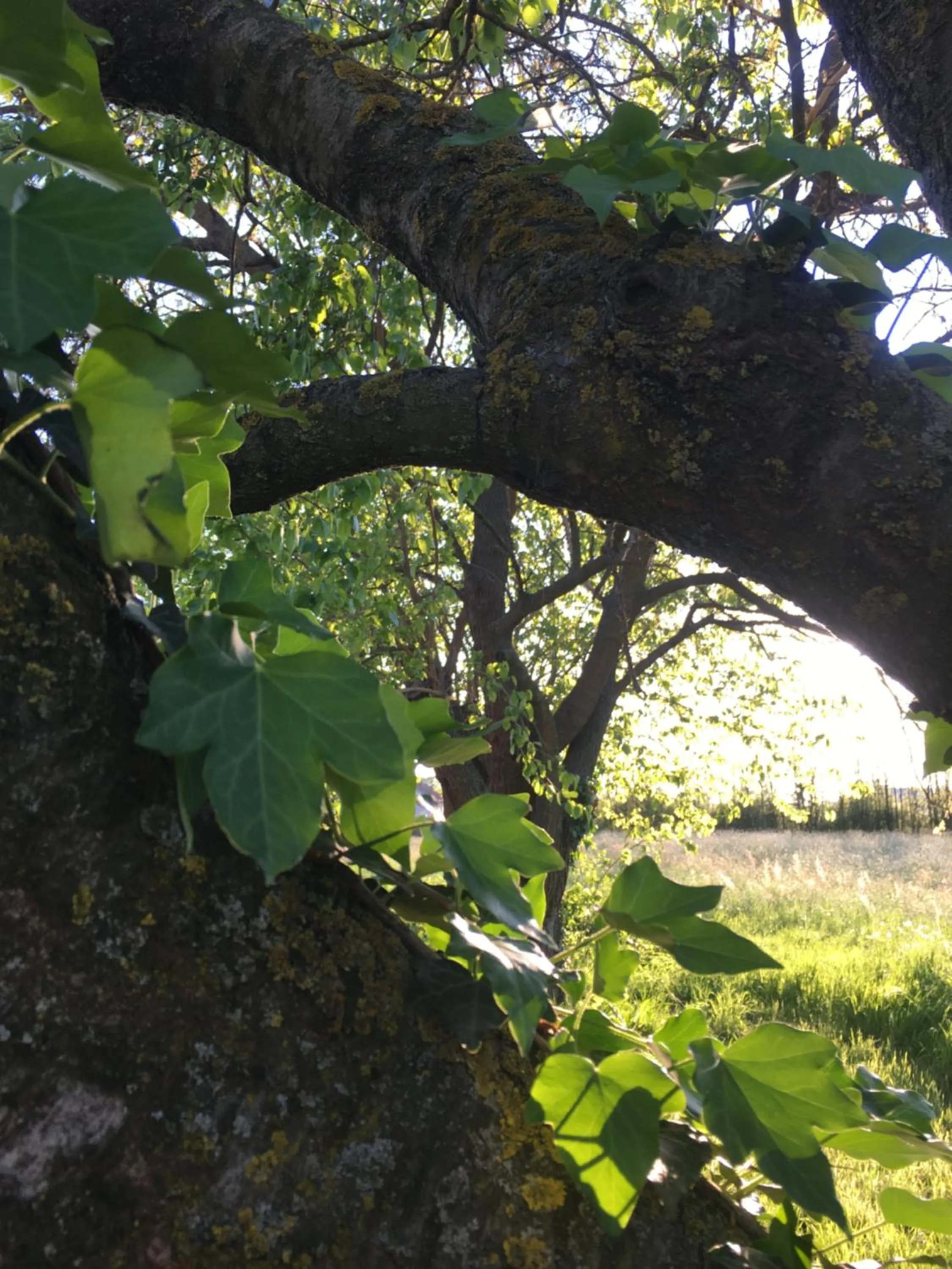 Property building in Bed & Breakfast Il mio Gelso