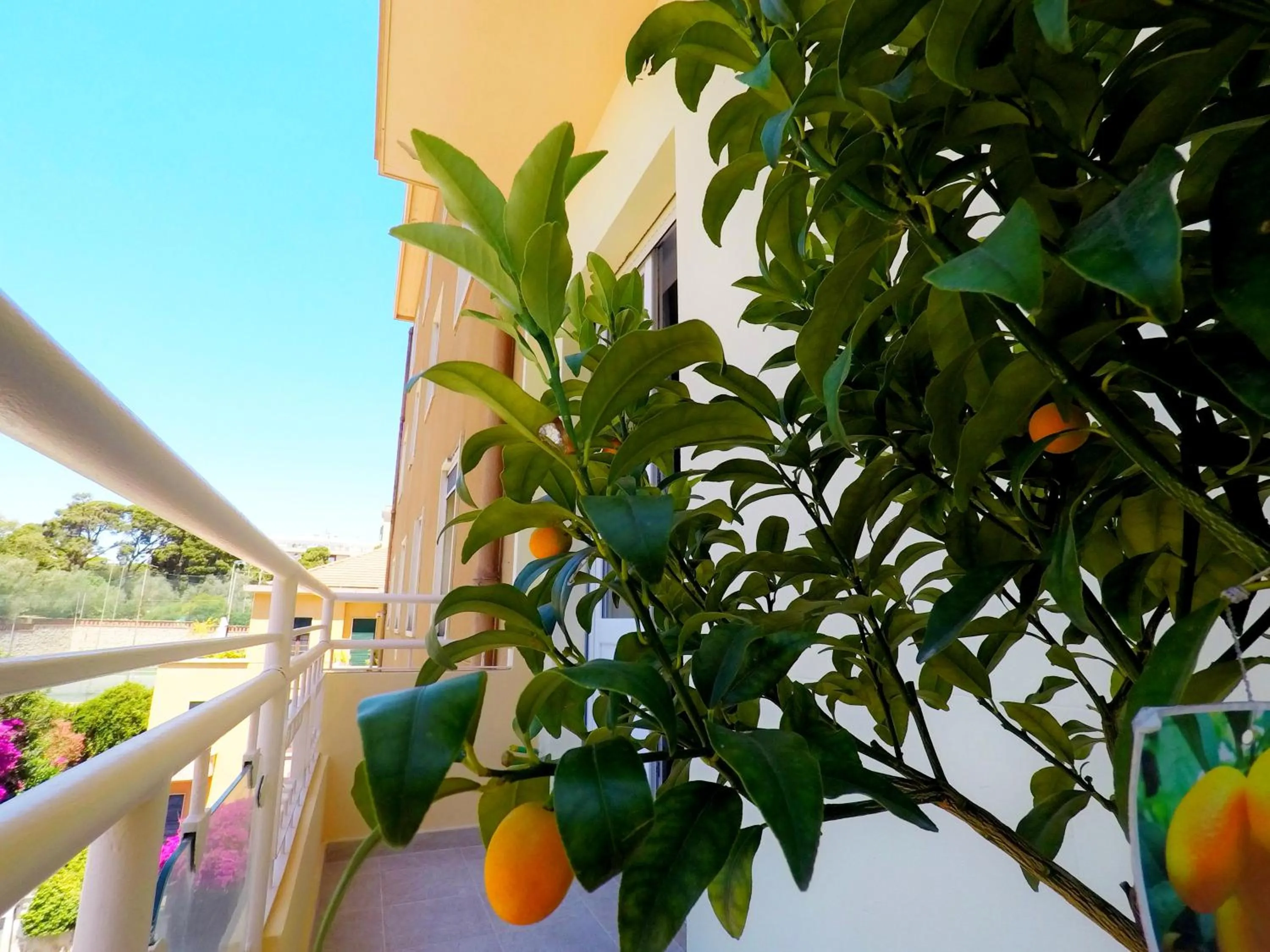 Balcony/Terrace in Colibrì Prestige Rooms - Roman Ruins View