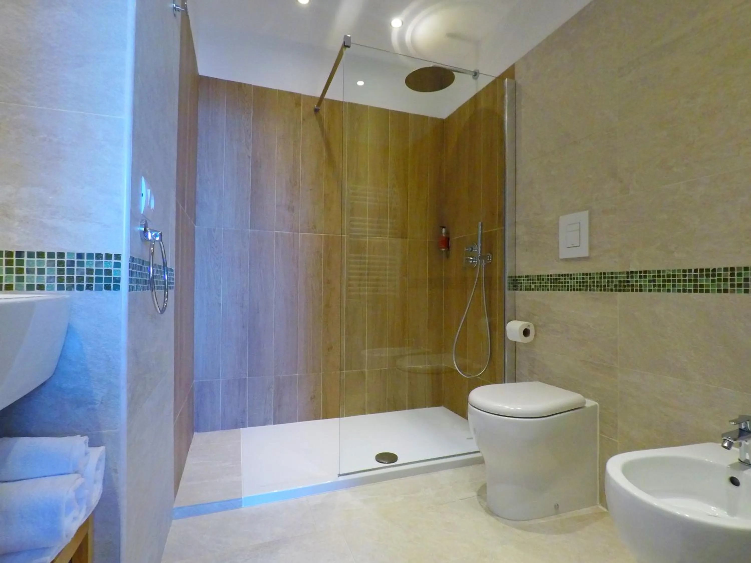 Shower in Colibrì Prestige Rooms - Roman Ruins View