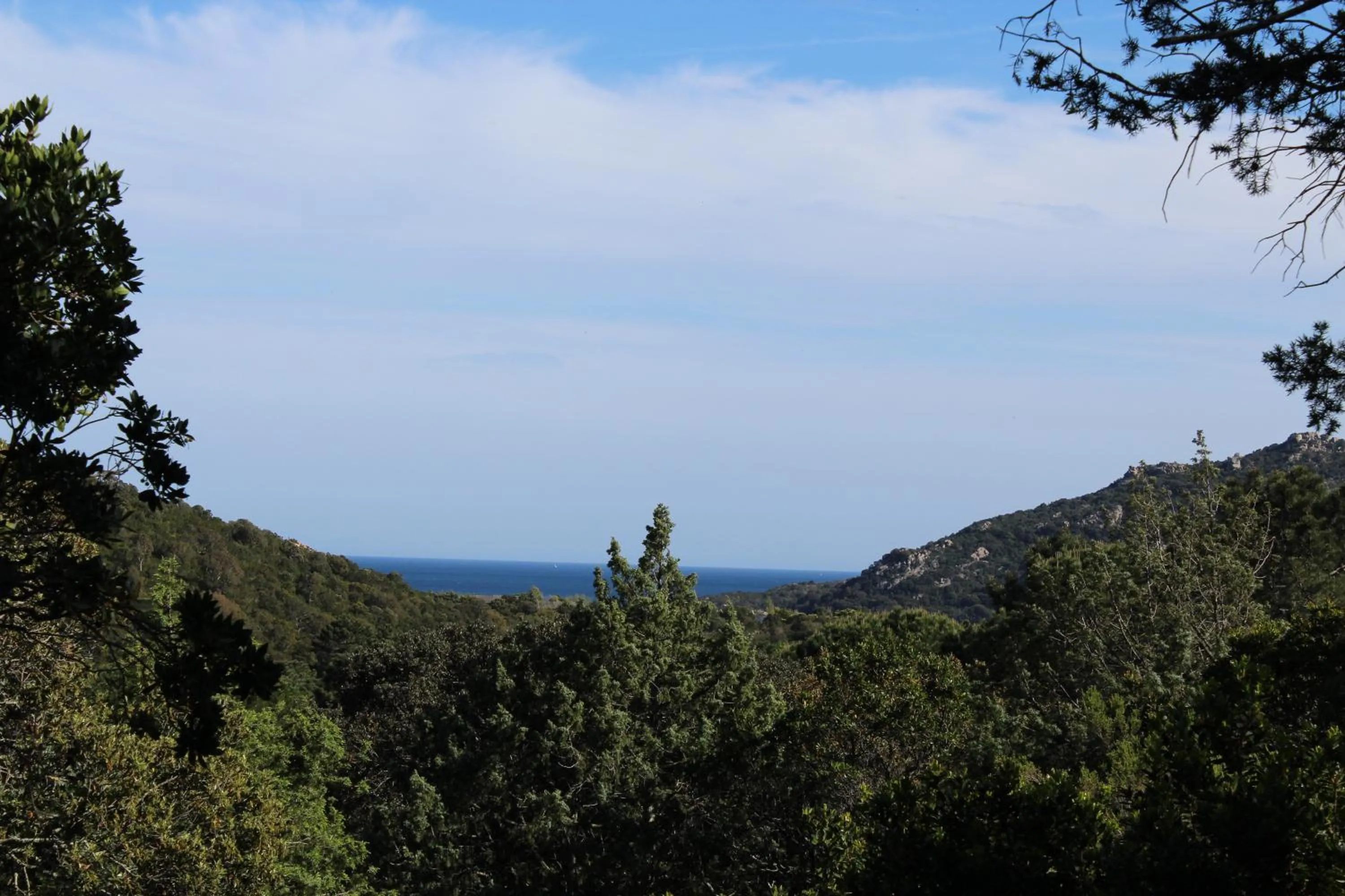 Sea view in Villa Giulia