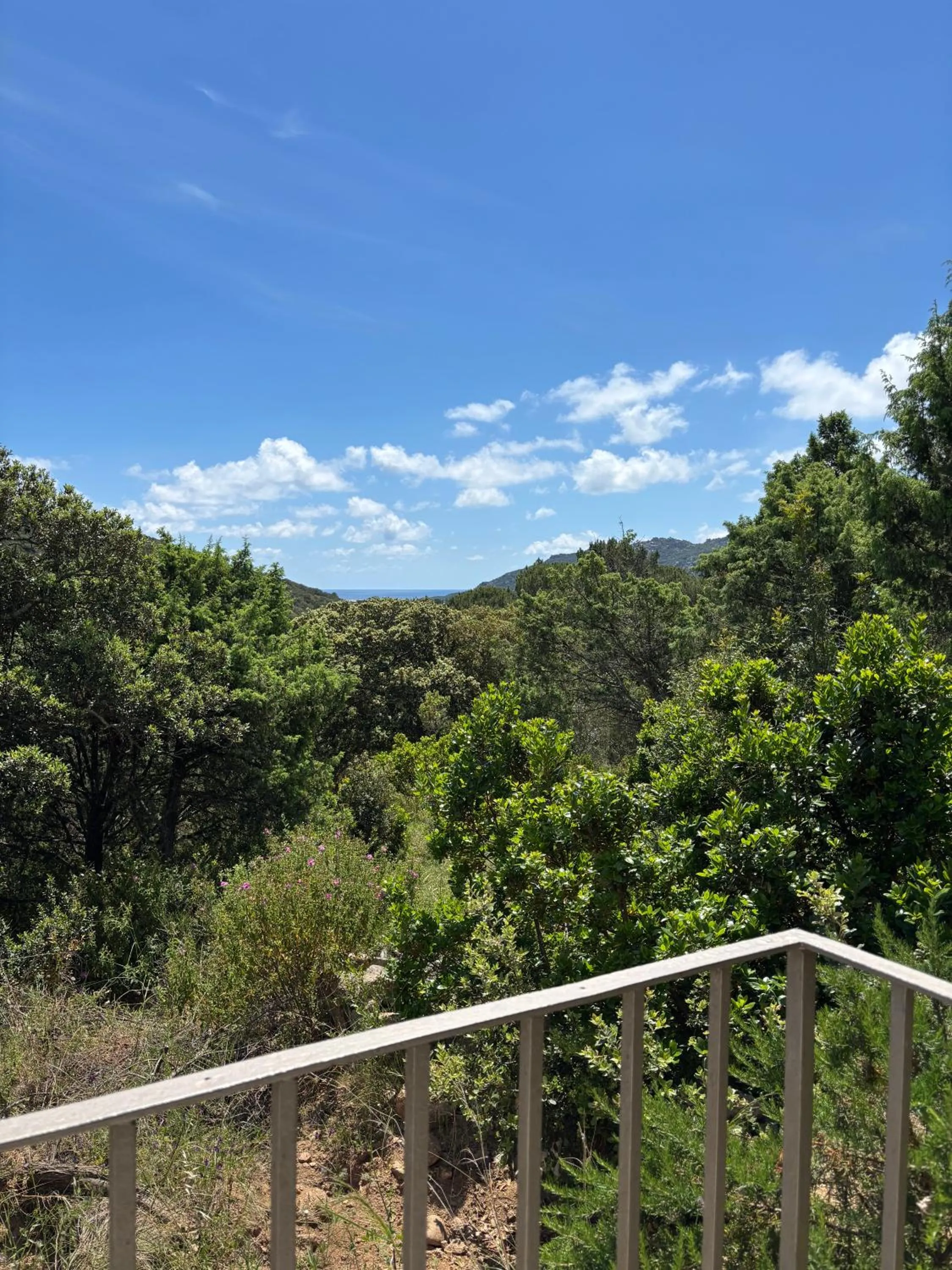 View (from property/room) in Villa Giulia