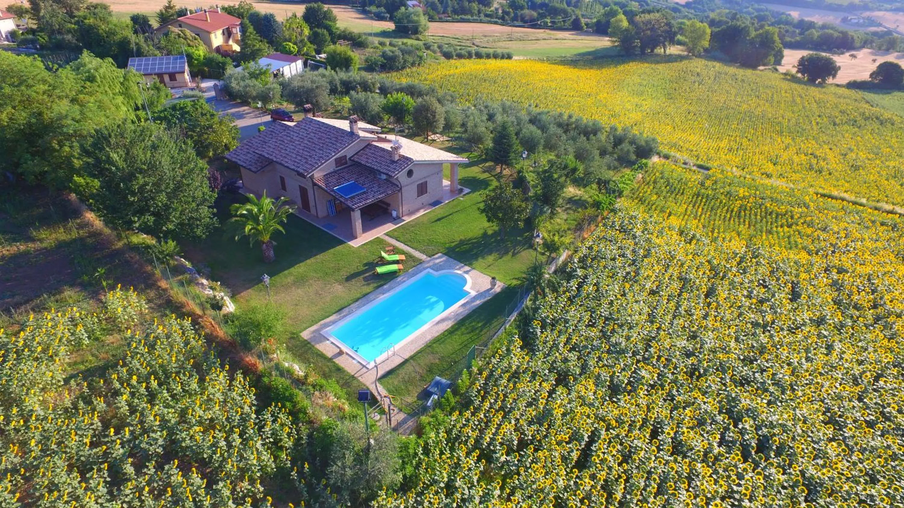 B&B Madonna Carradori