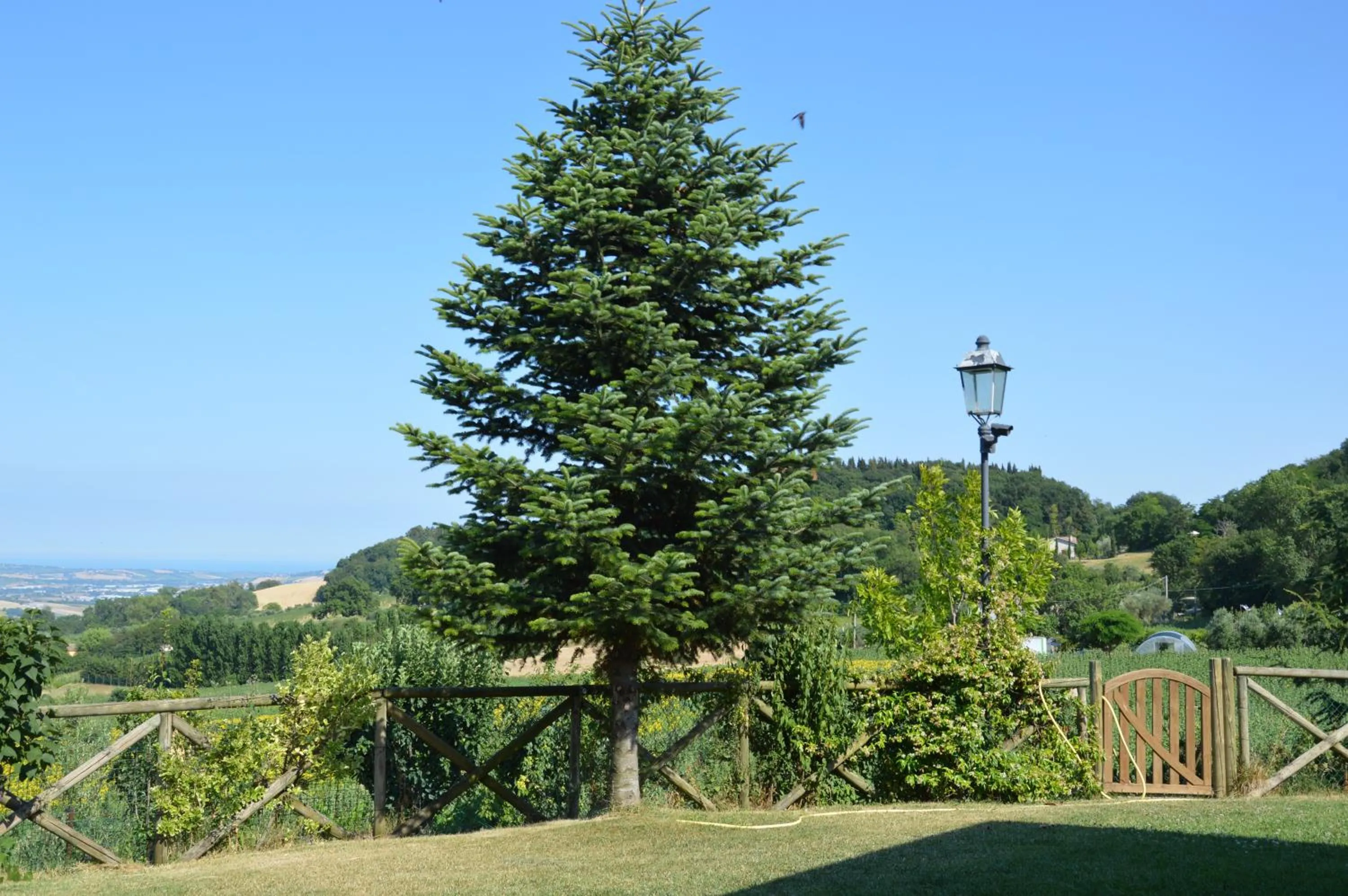 B&B Madonna Carradori