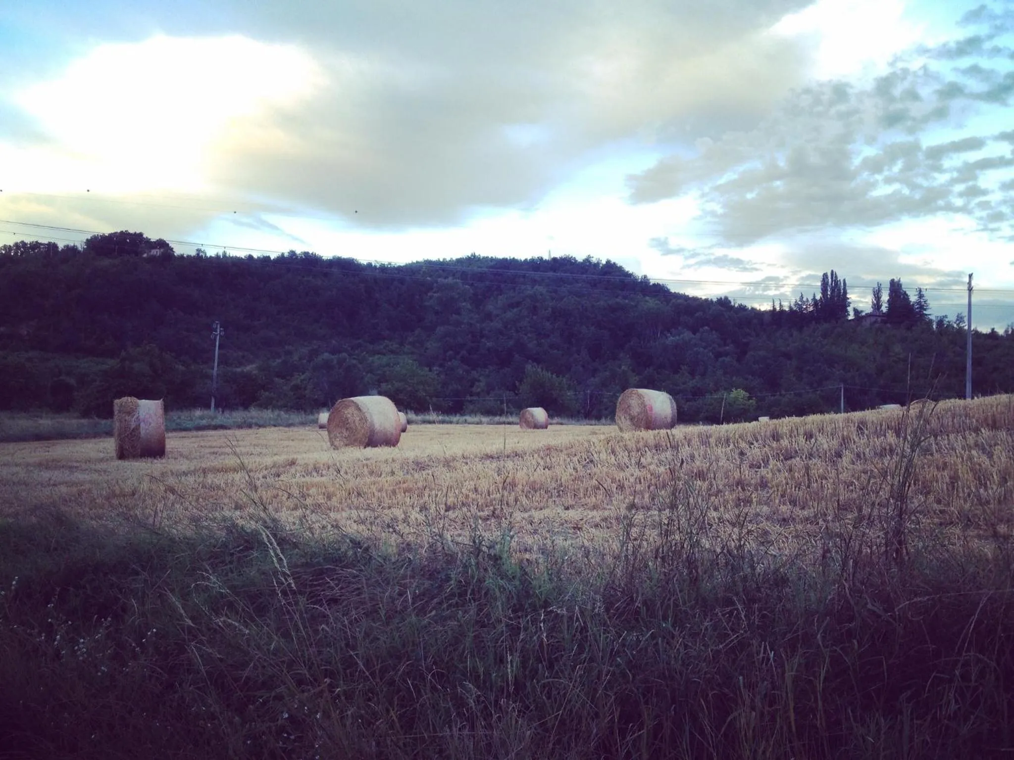 B&B Agriturismo Casa Vallona