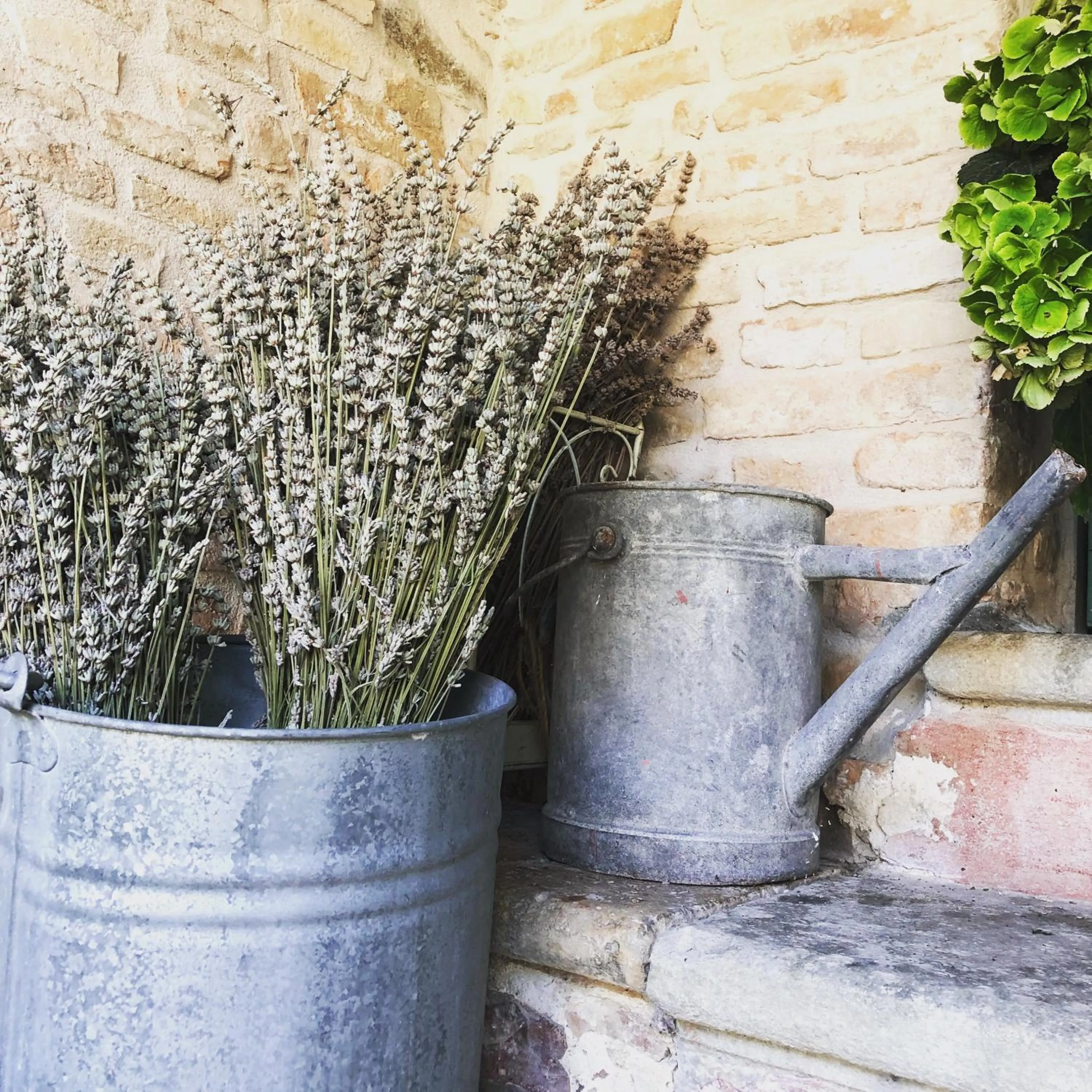 B&B Agriturismo Casa Vallona