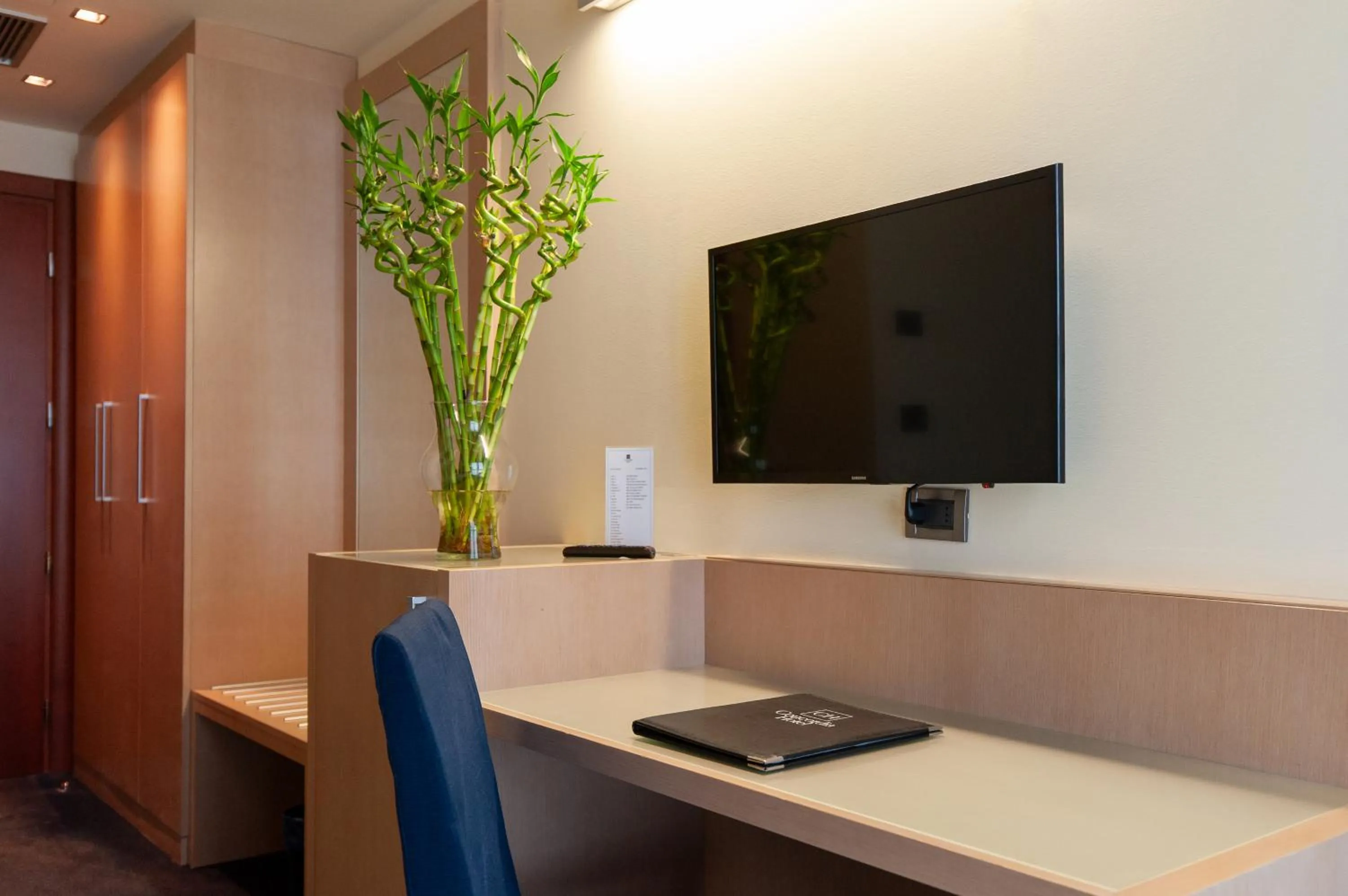 TV and multimedia in Concordia Hotel