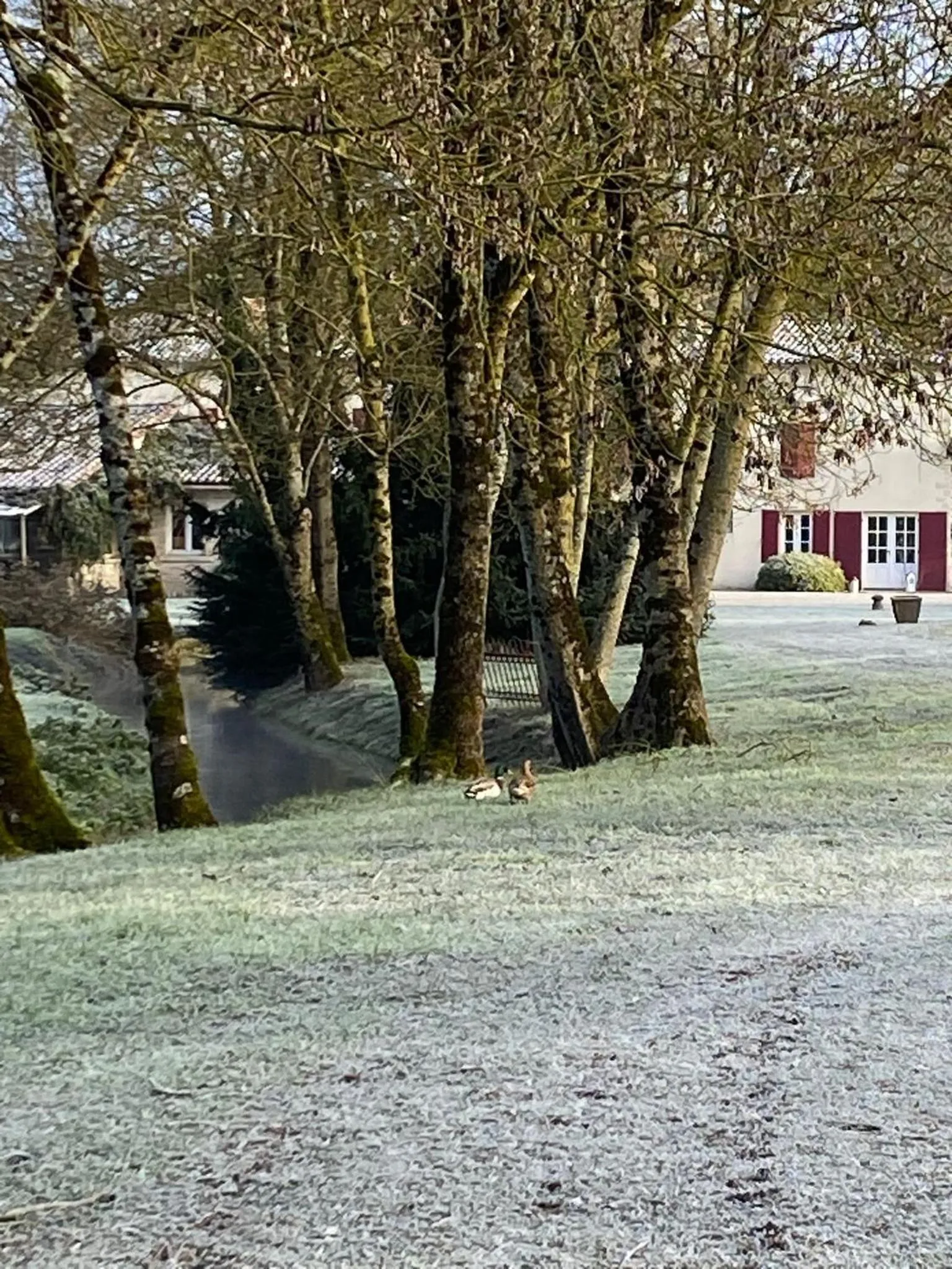 Le p'tit nid de Gabriel