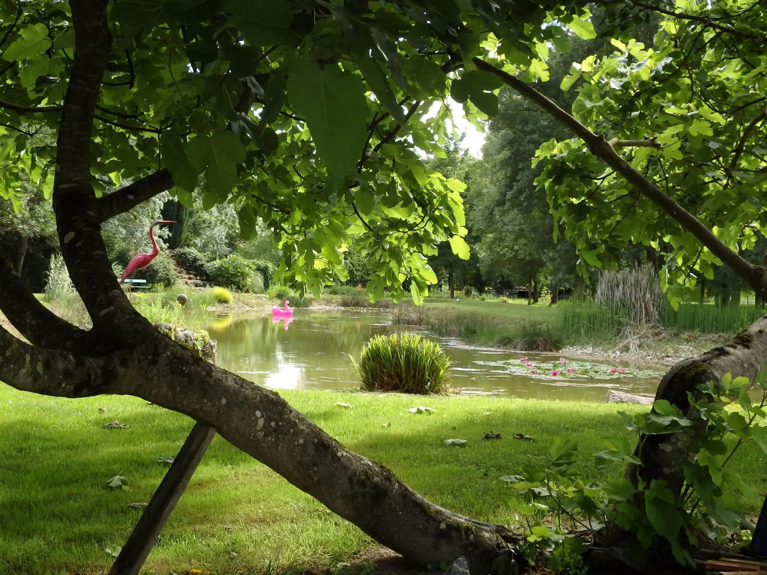 Suite with Spa Access in Le p'tit nid de Gabriel Suite with Spa Access in Le p'tit nid de Gabriel