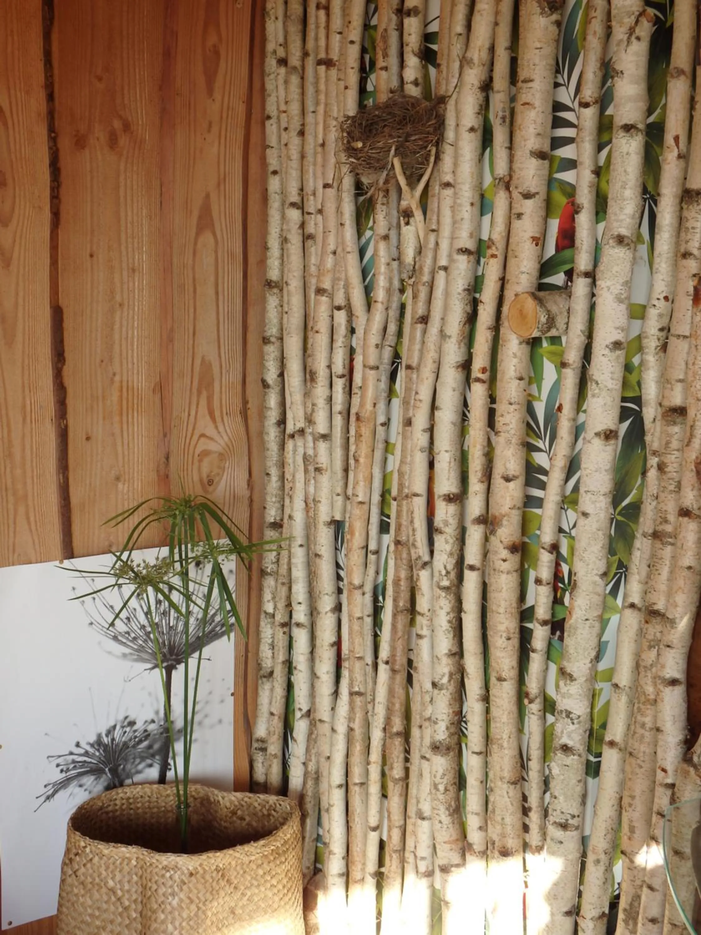 Le p'tit nid de Gabriel