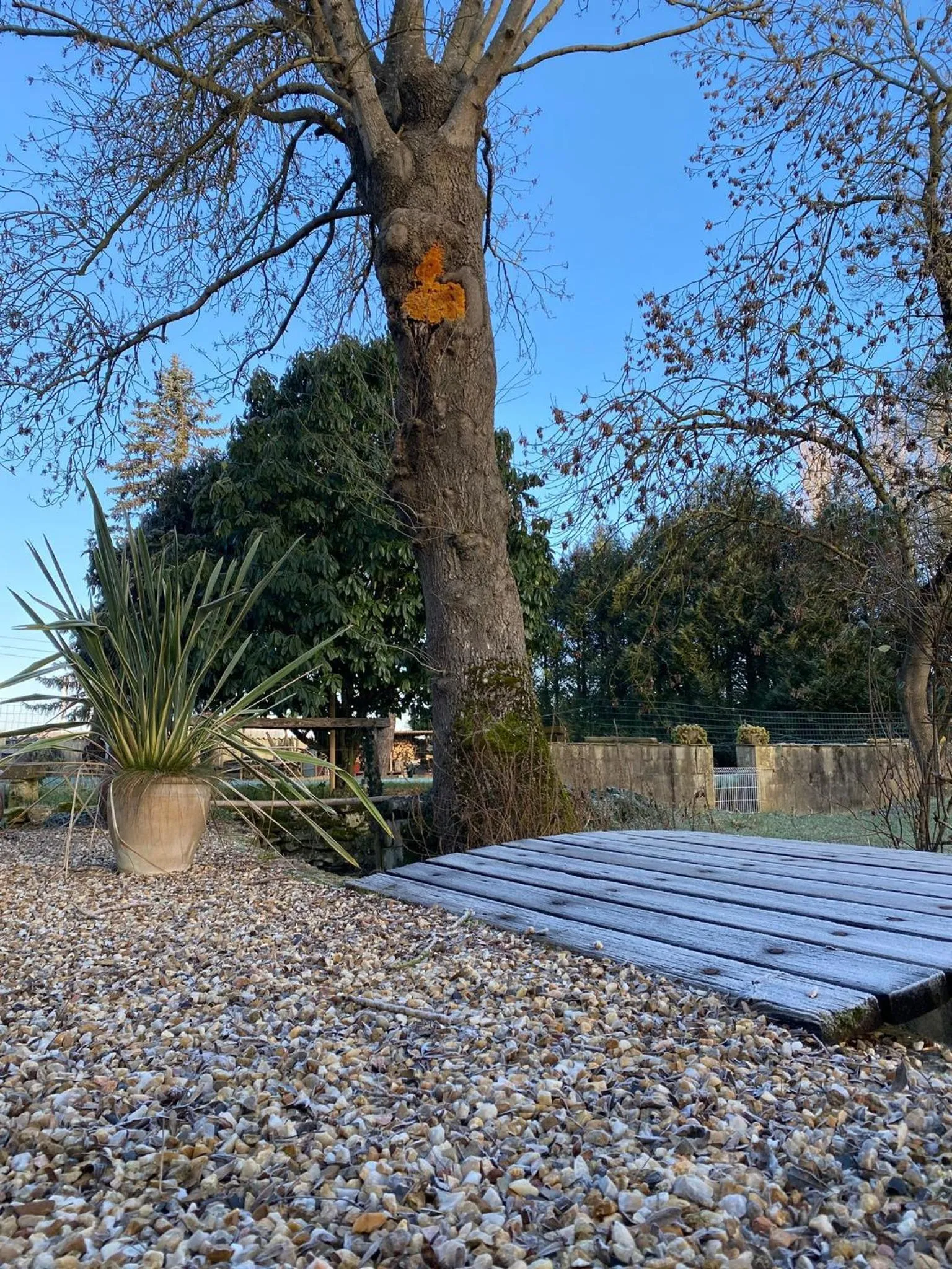 Le p'tit nid de Gabriel