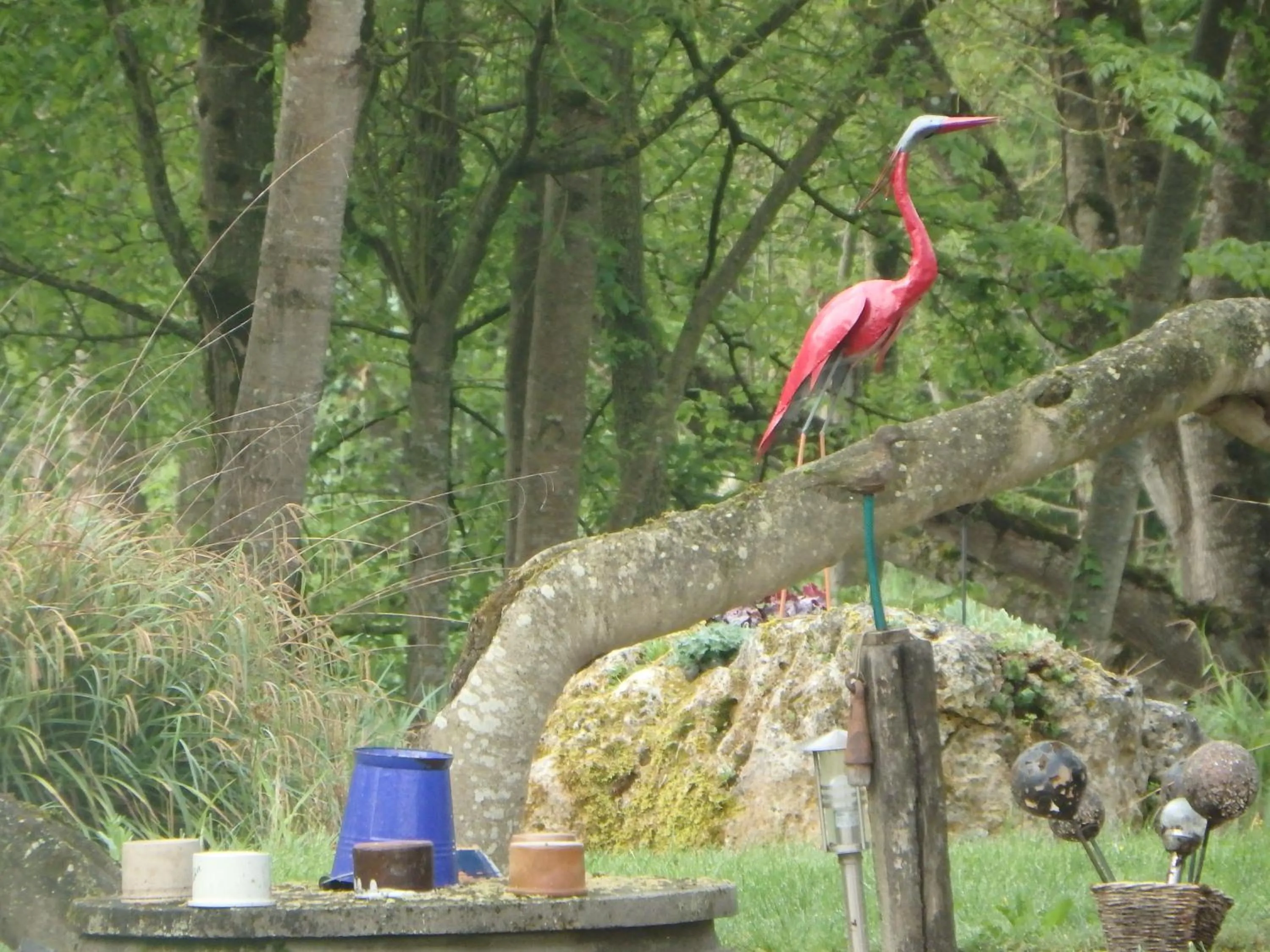 Le p'tit nid de Gabriel