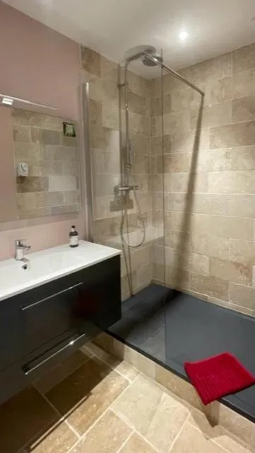 Shower in Logis Hotel Restaurant Le Domaine de la Régalière