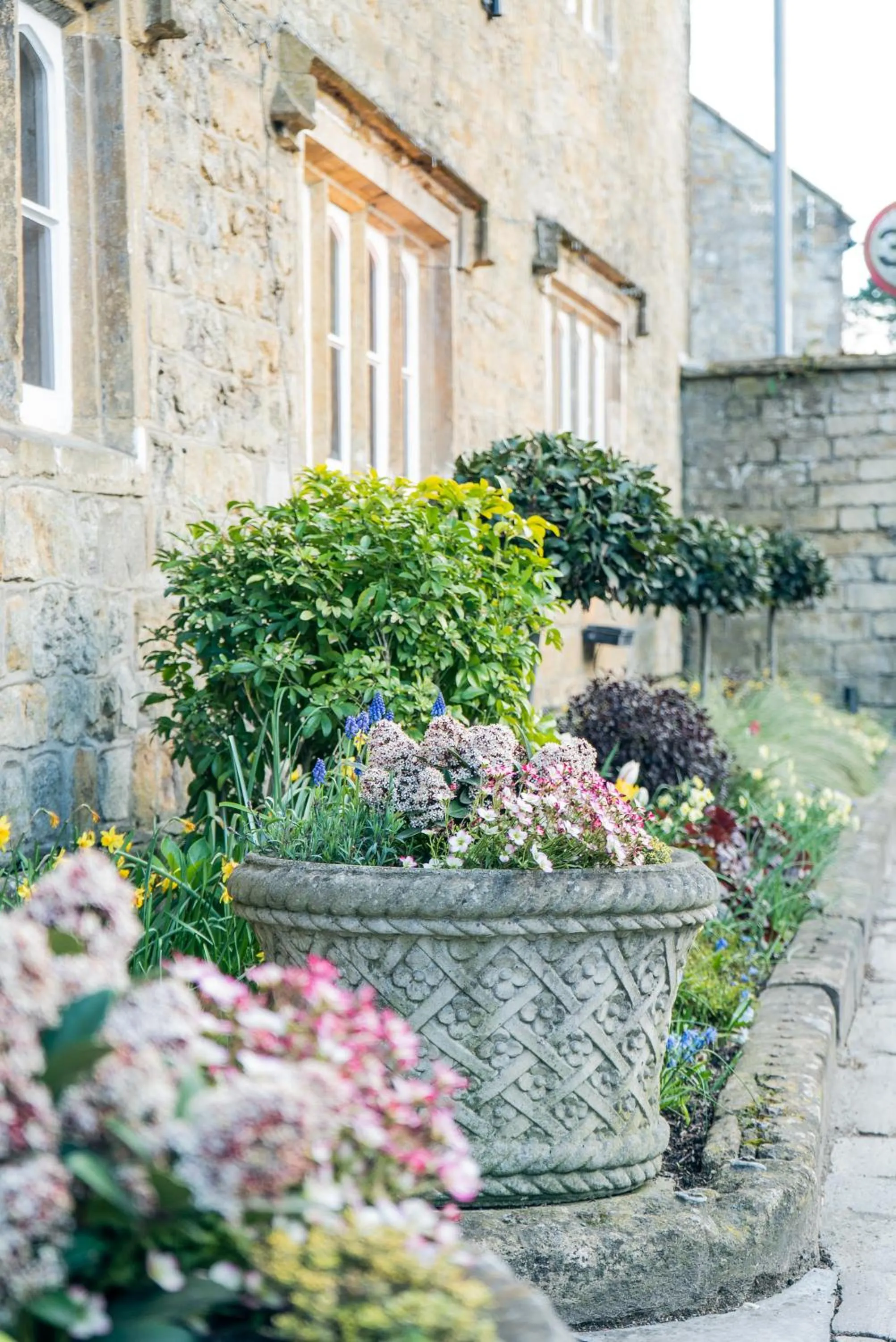 Garden in The Ollerod