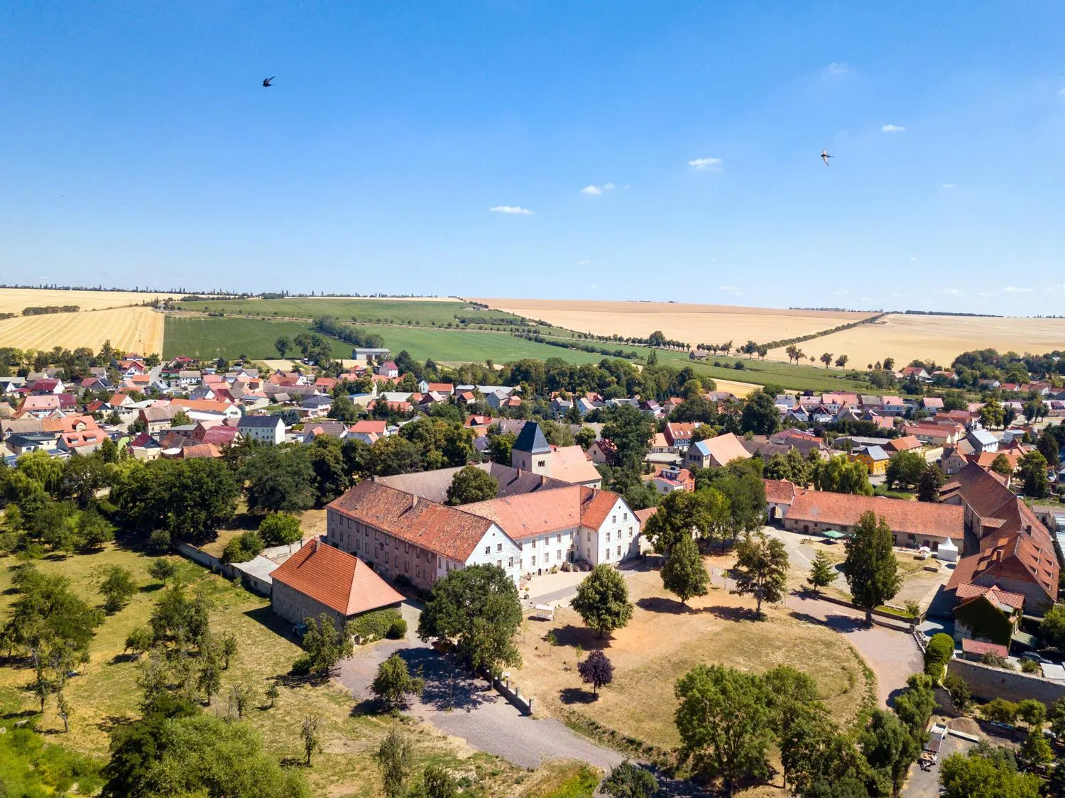 Bird's eye view in Kloster Hedersleben