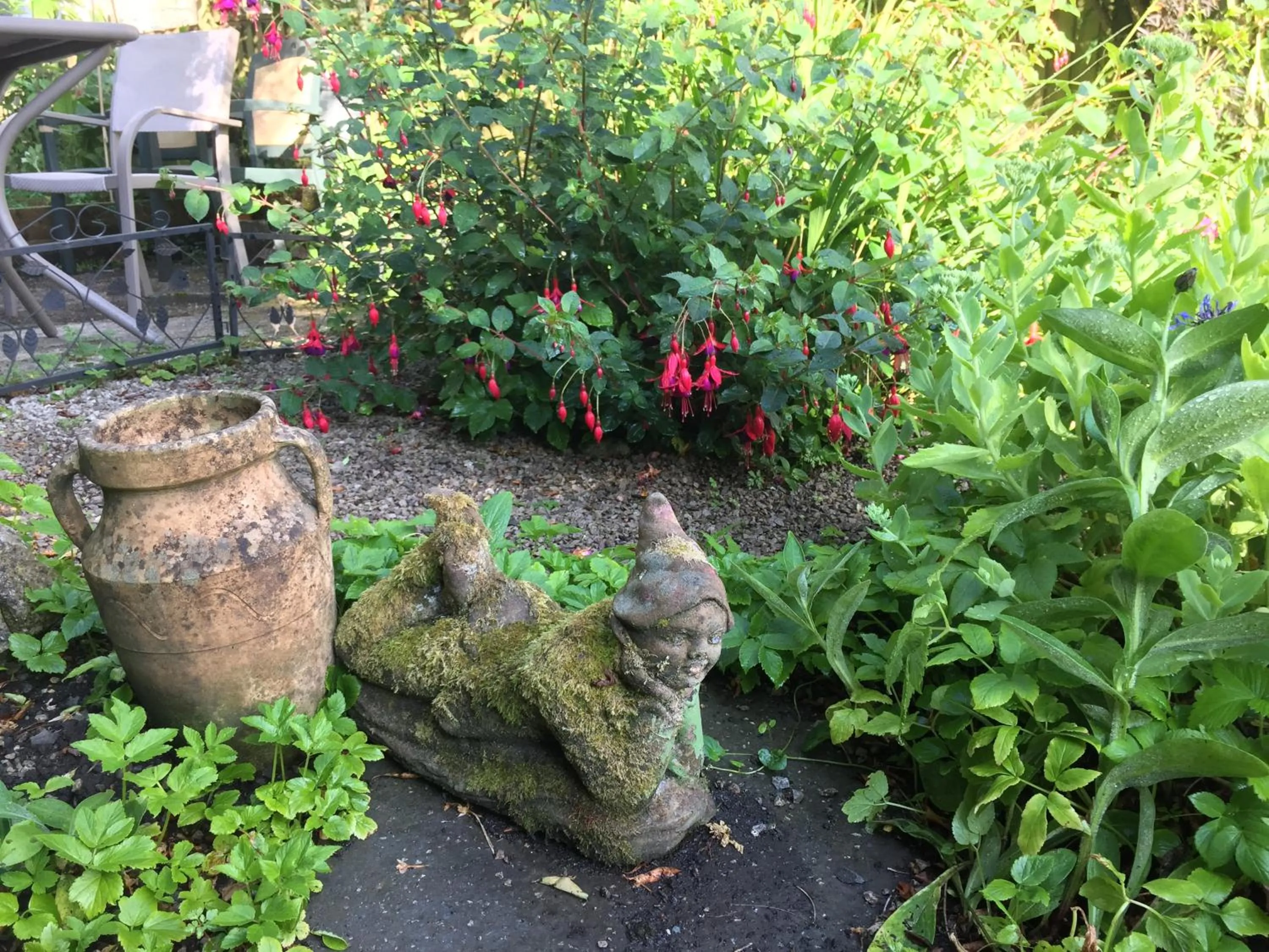 Garden in Elim House