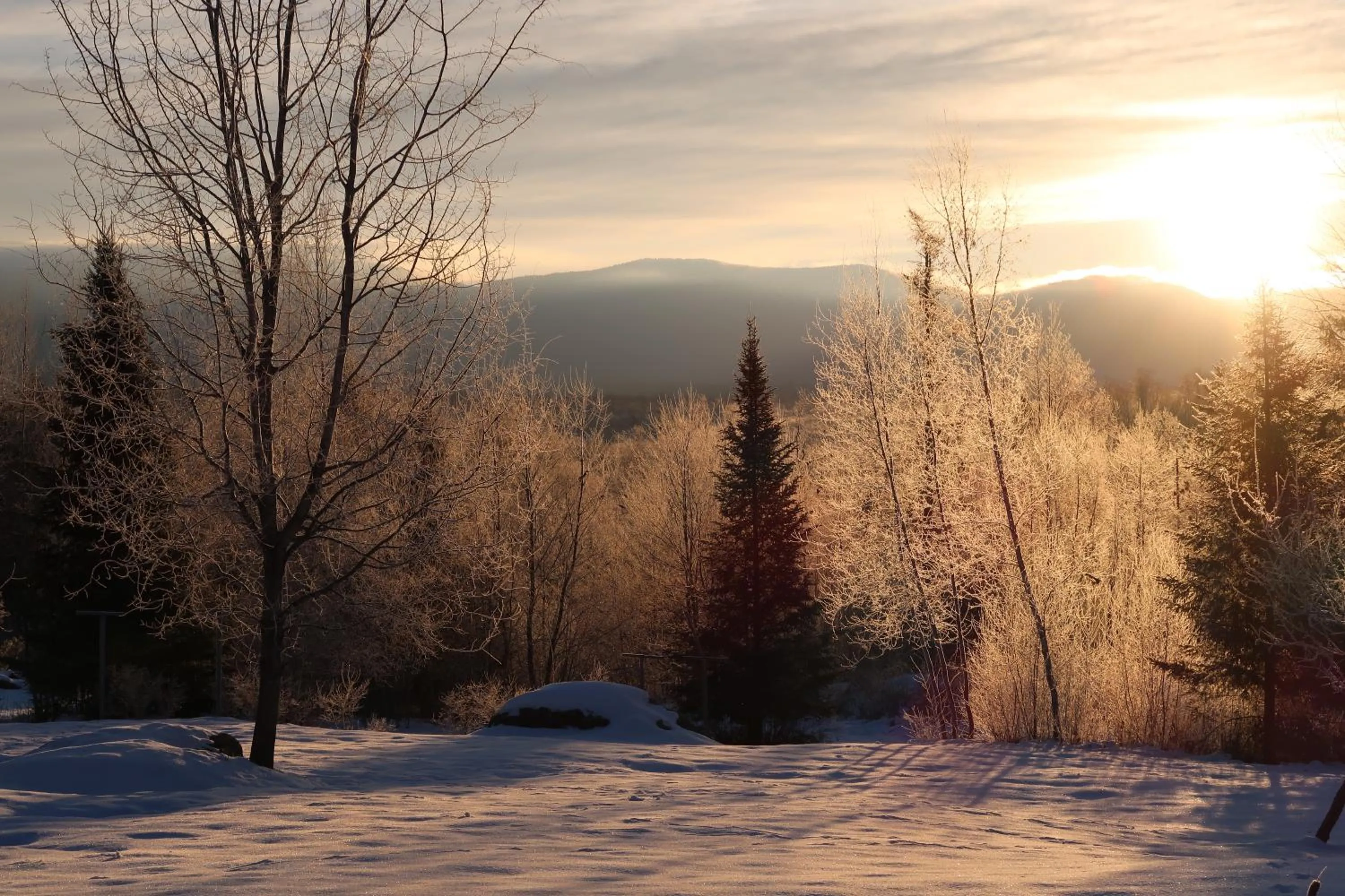 Natural landscape in Robert Frost Mountain Cabins