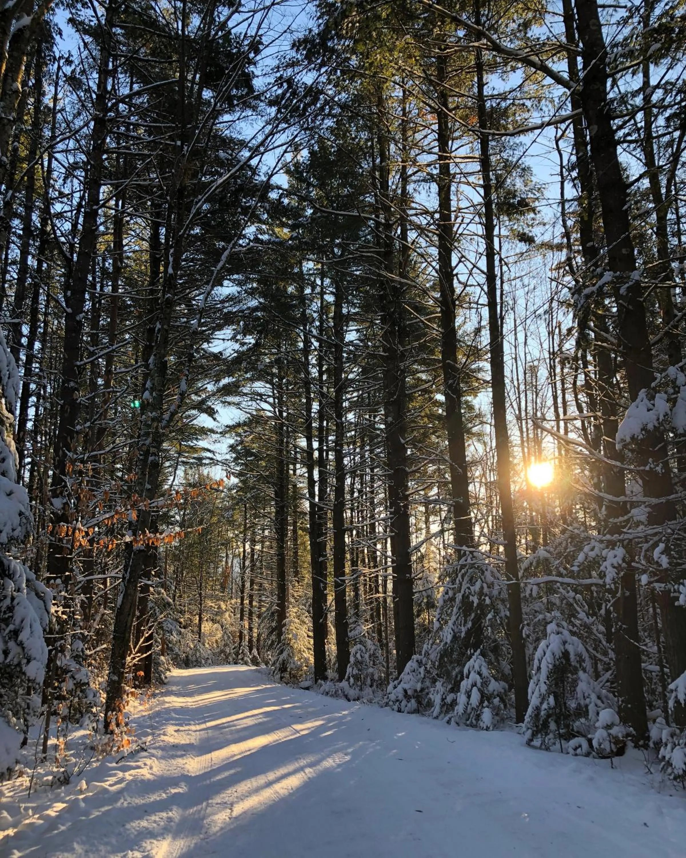Robert Frost Mountain Cabins