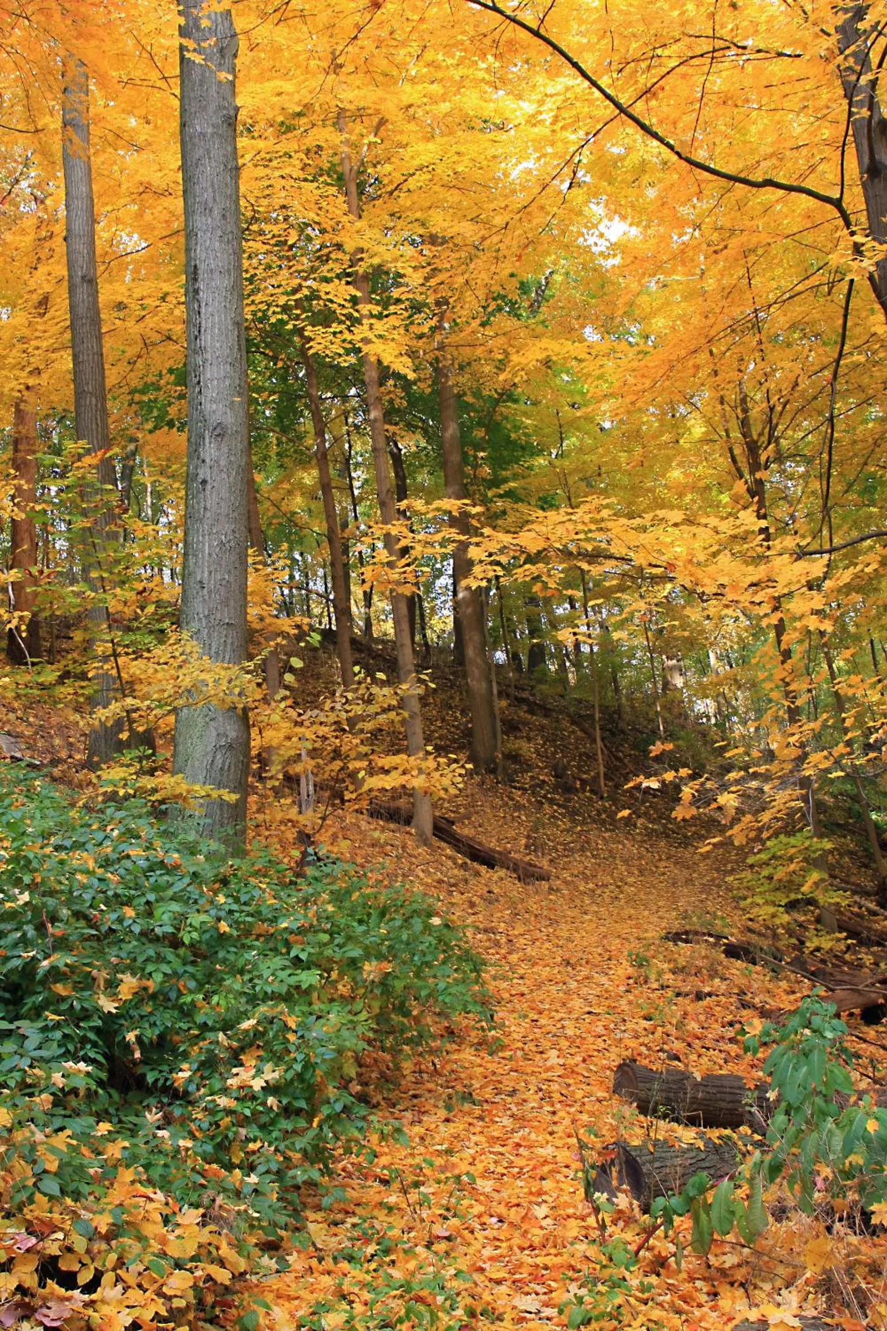 Hiking in Robert Frost Mountain Cabins