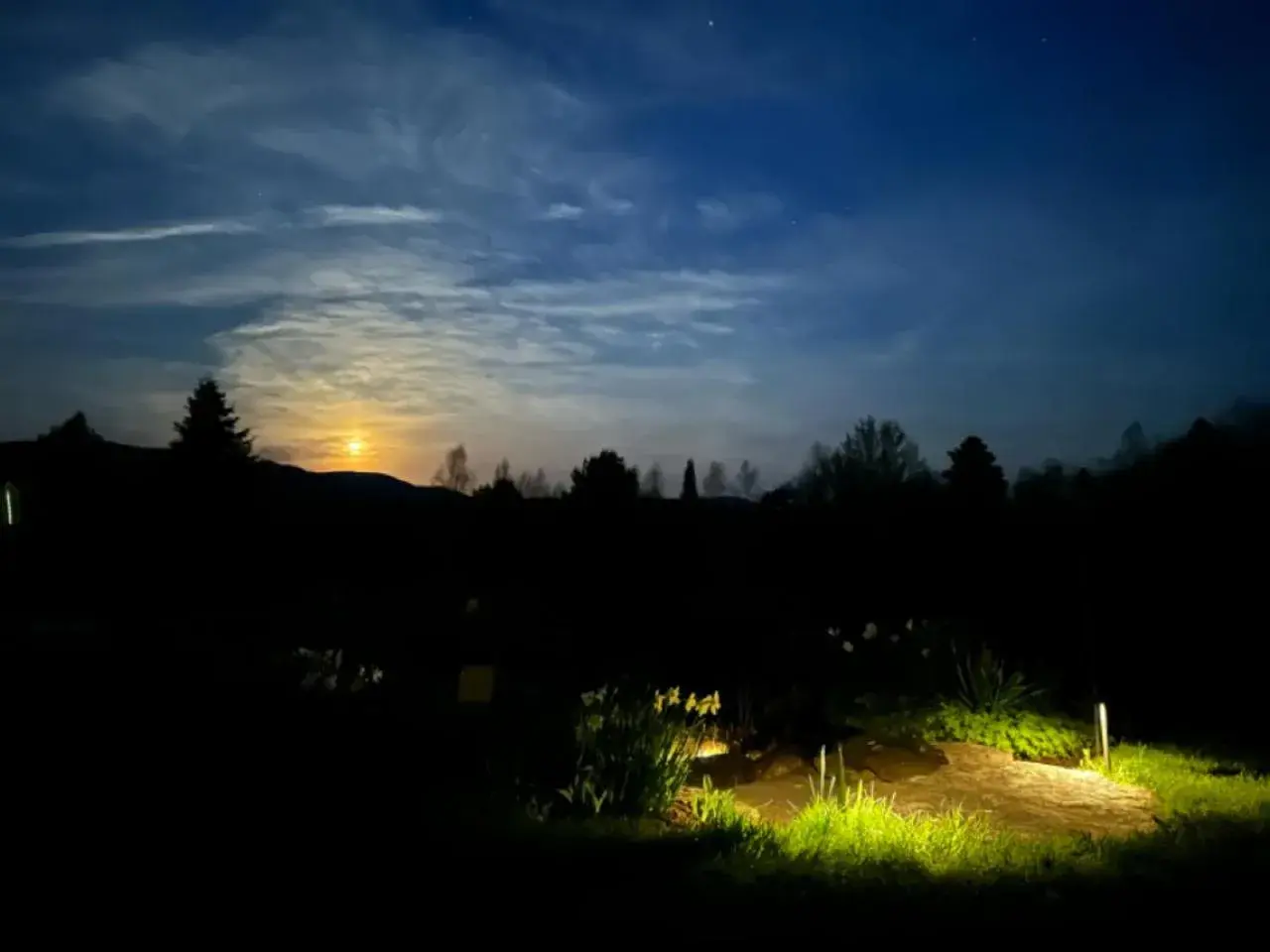 Cabin #5 - Owl's Branch - Wheelchair Accessible (Pet Friendly) in Robert Frost Mountain Cabins Cabin #5 - Owl's Branch - Wheelchair Accessible (Pet Friendly) in Robert Frost Mountain Cabins