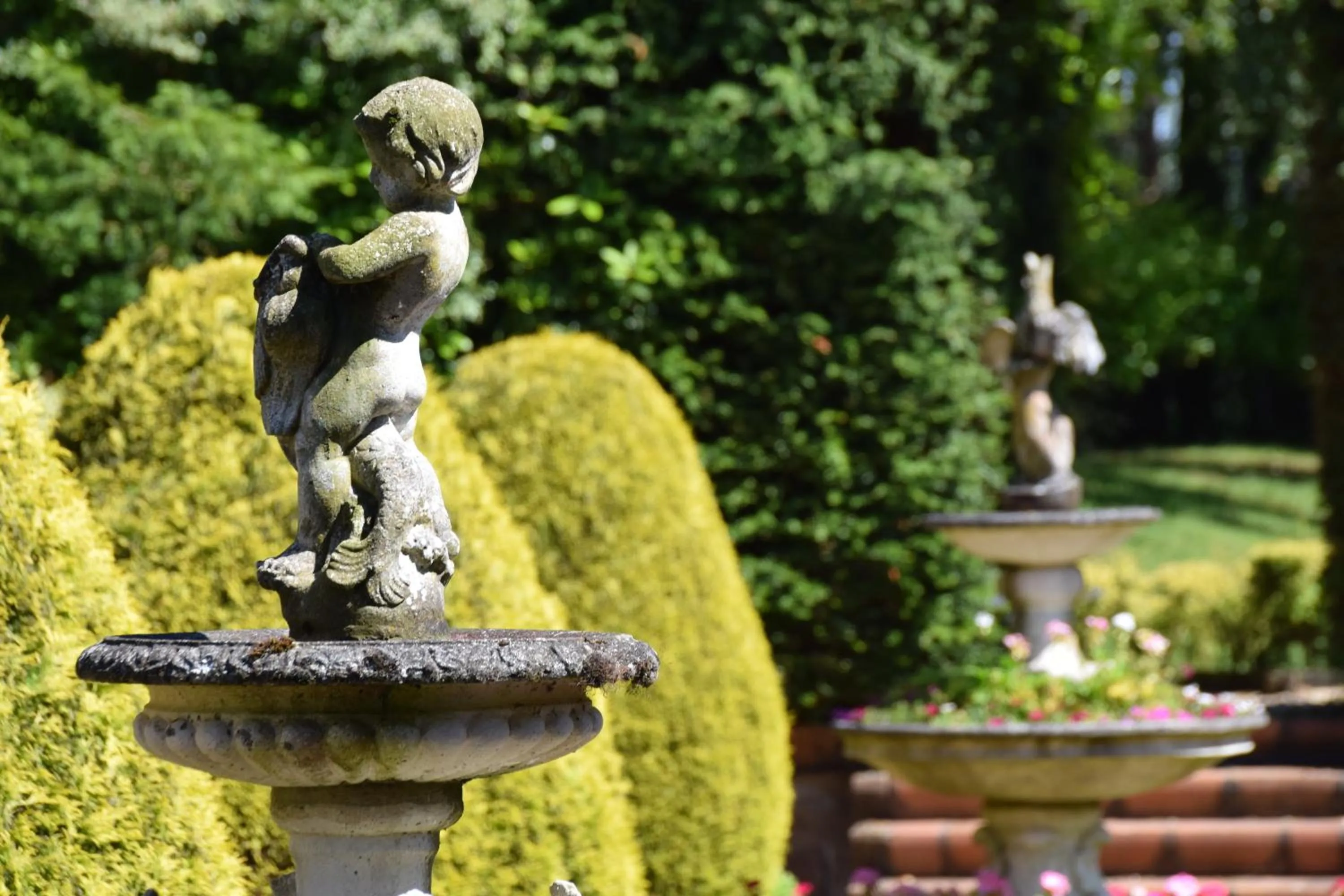 Garden in Nunsmere Hall Hotel