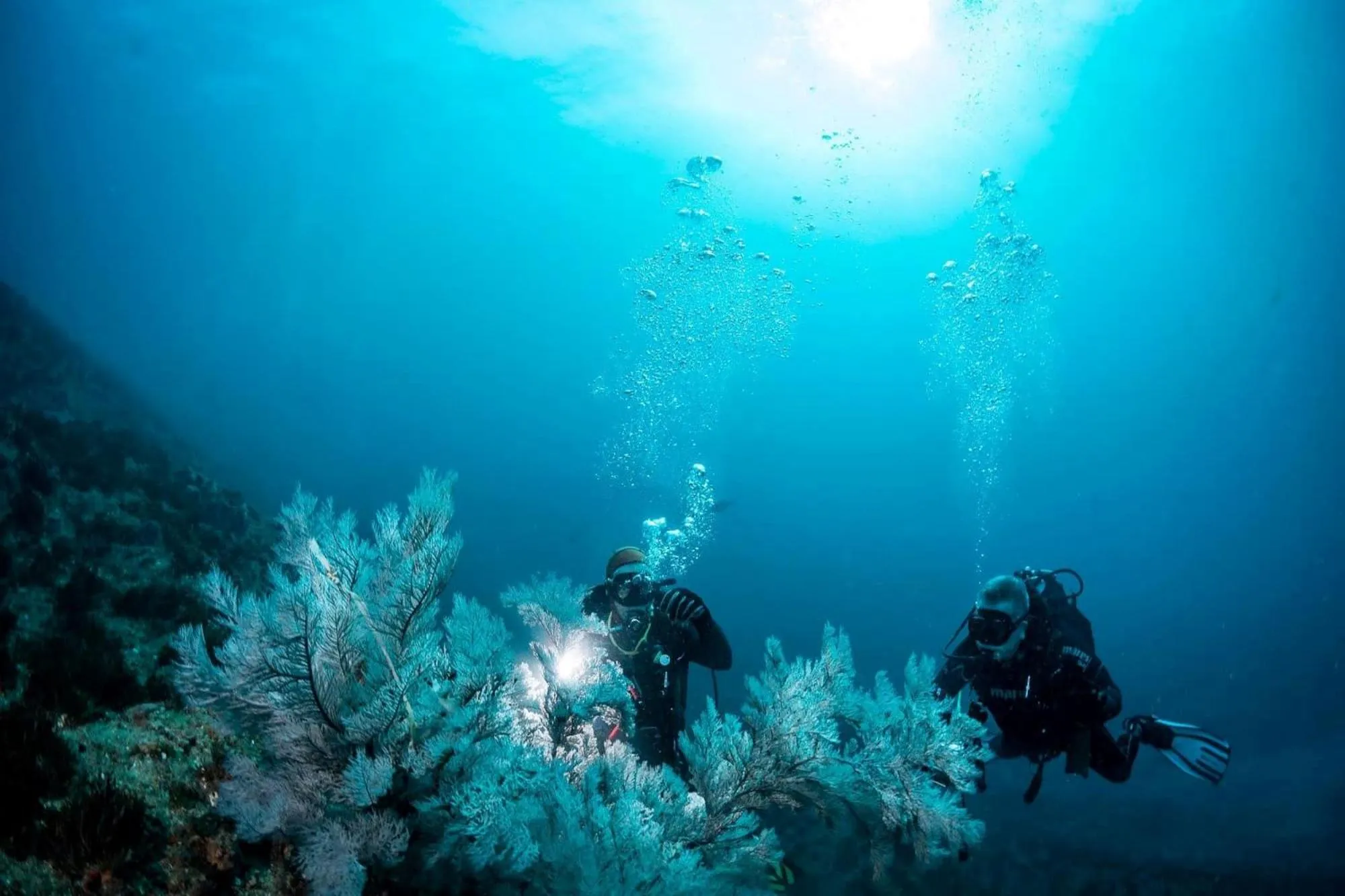 People in Premier Resort Cutty Sark