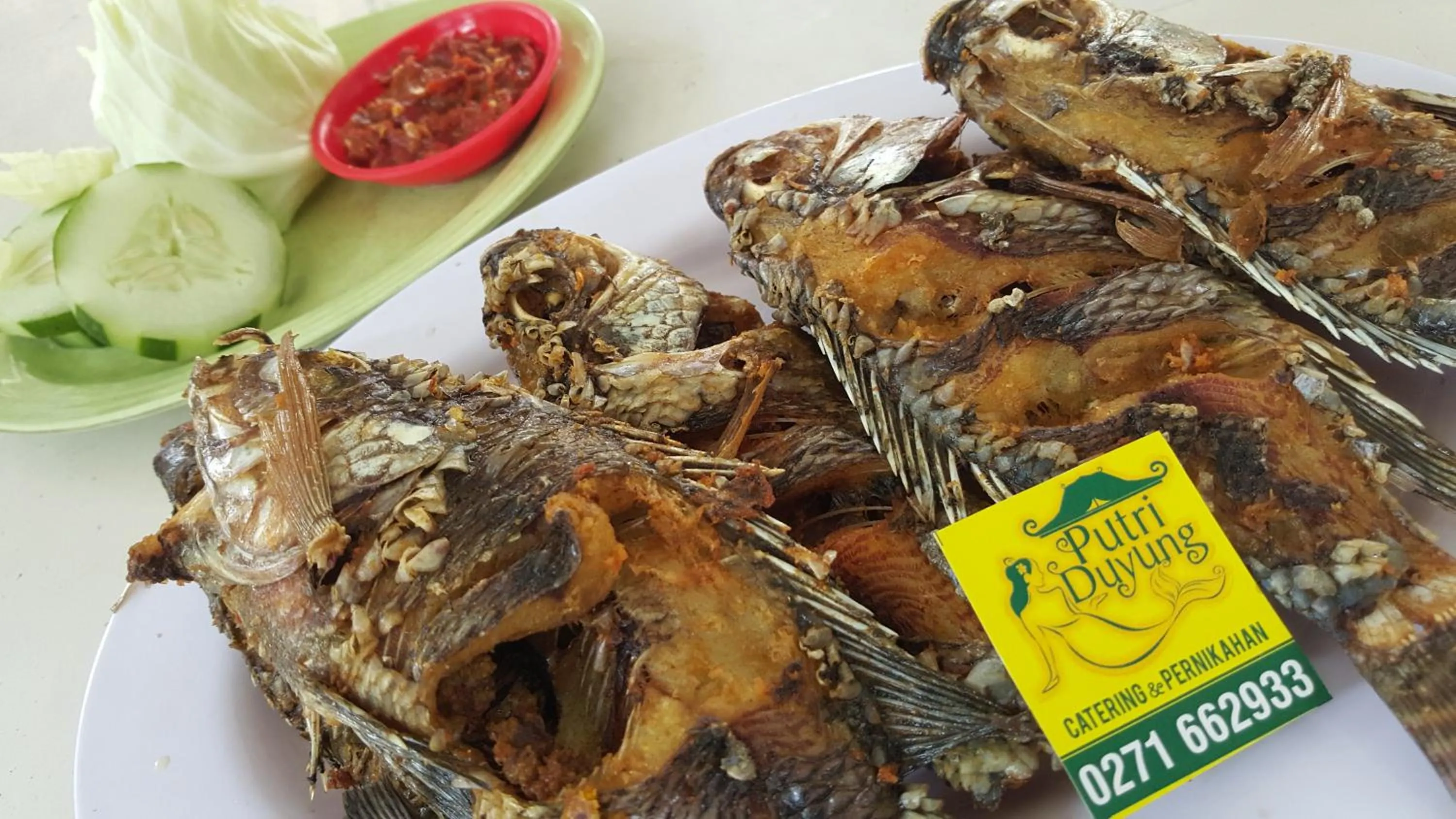 Putri Duyung Guest House