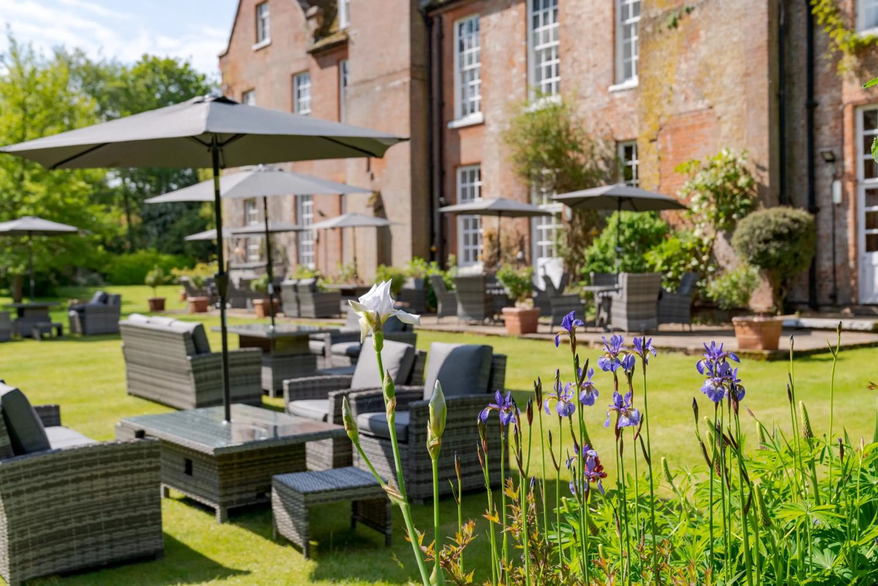 Garden in Hintlesham Hall Hotel